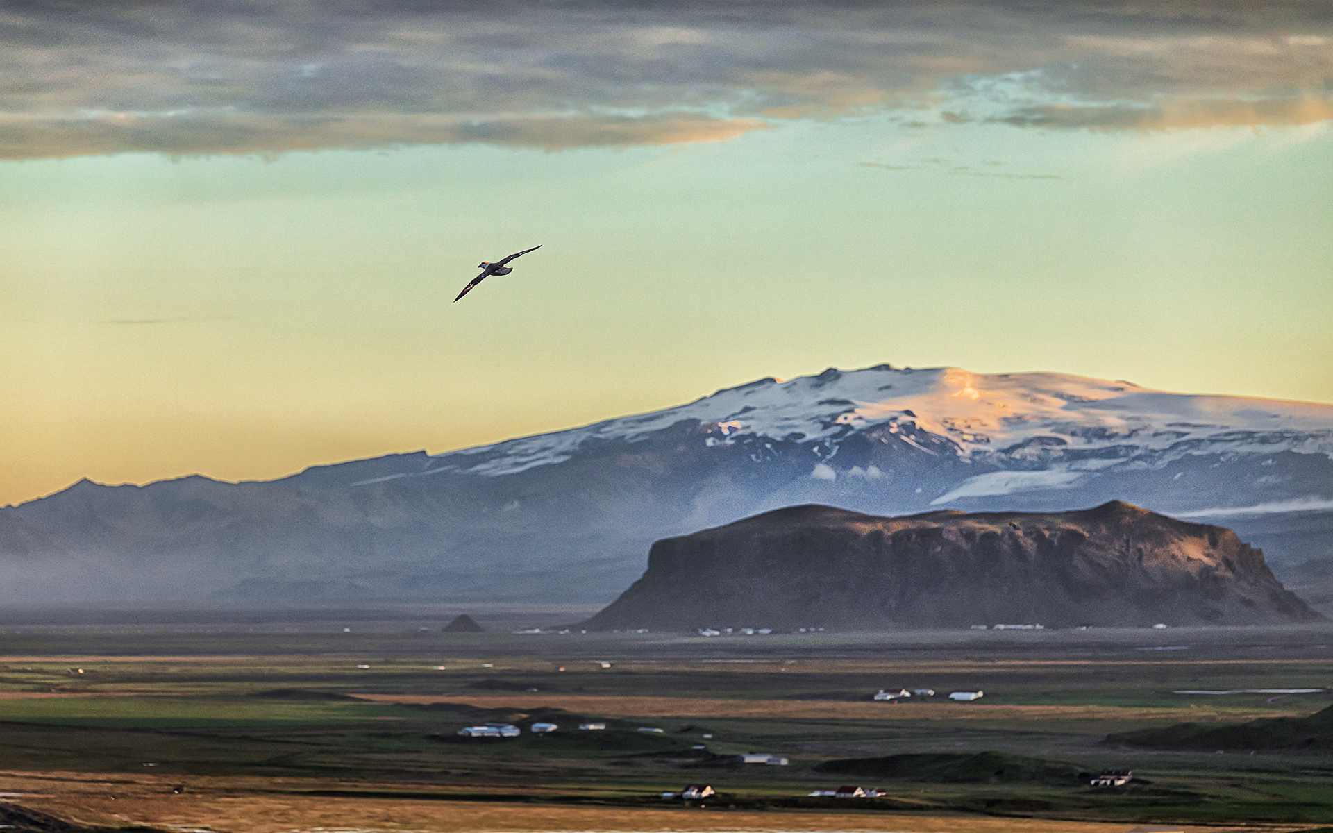 Fly Jonathan ... Fly!!