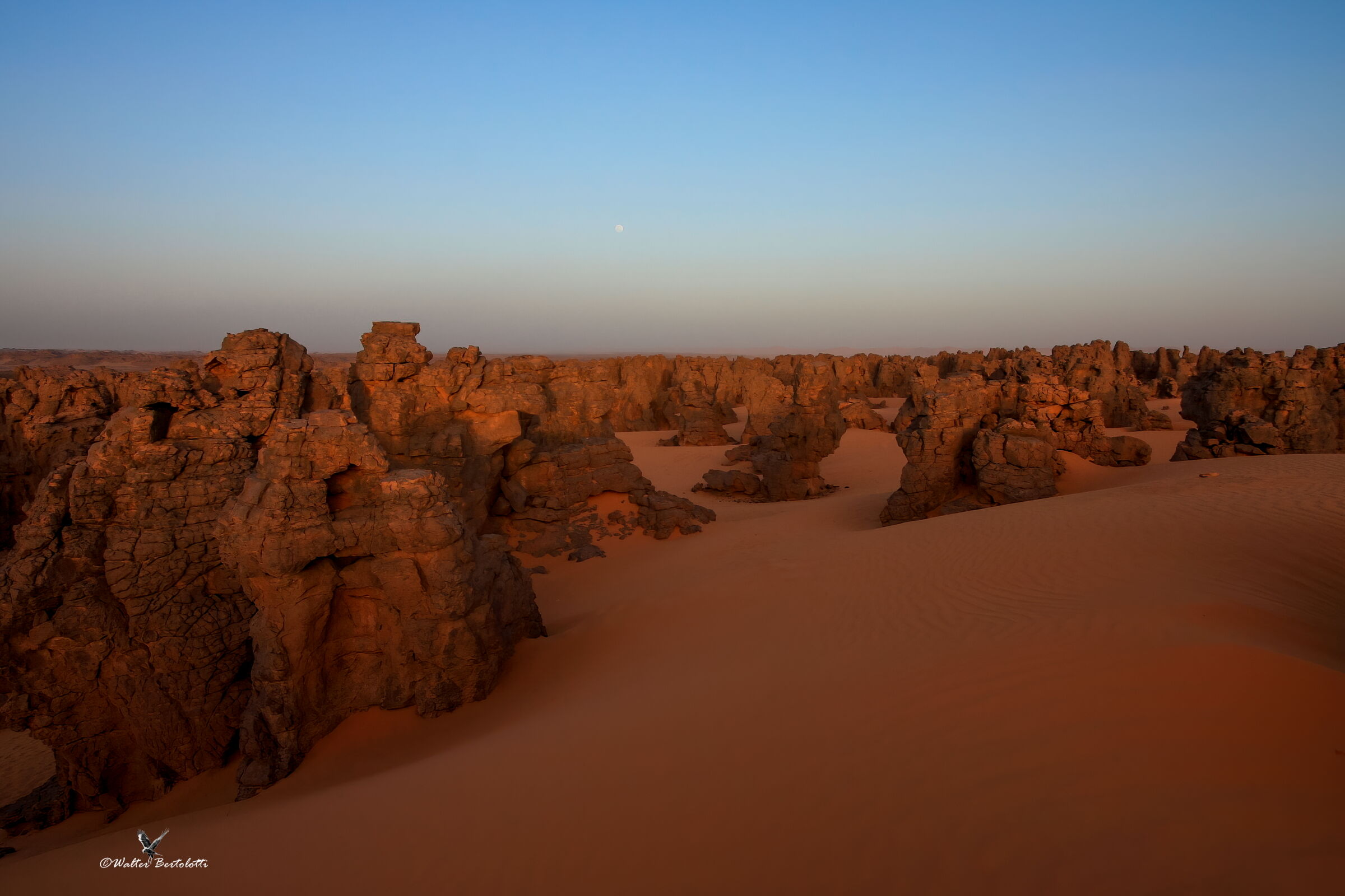 Sahara Libico, i tassili