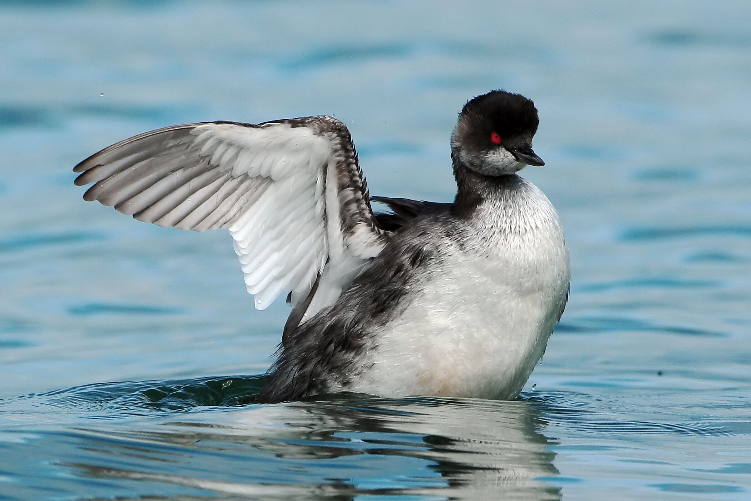 Little autumn flaick.