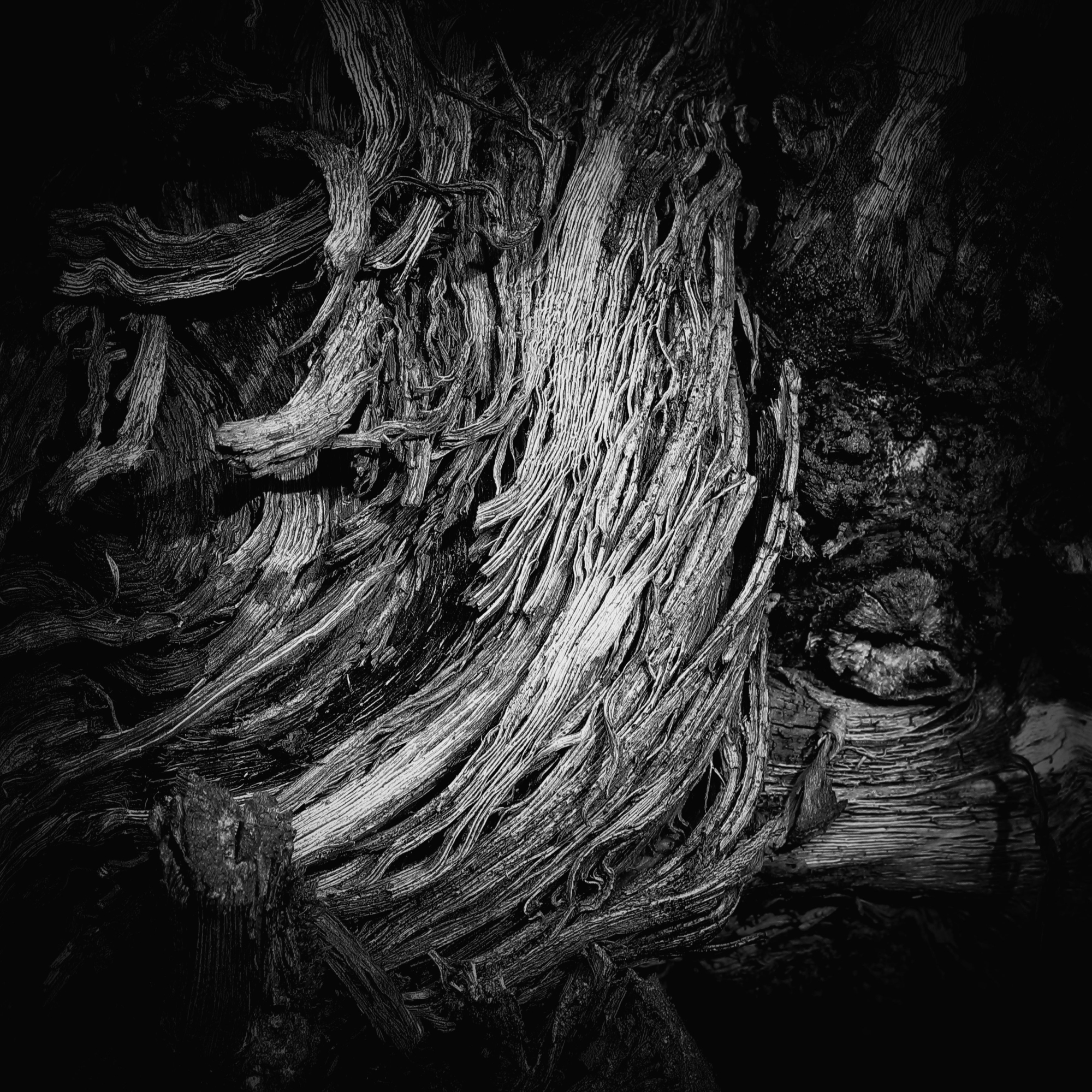 Walking around the vineyard, particular - 08/10/2020