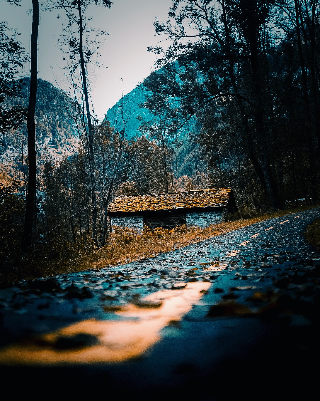 Somewhere in Italian Alps