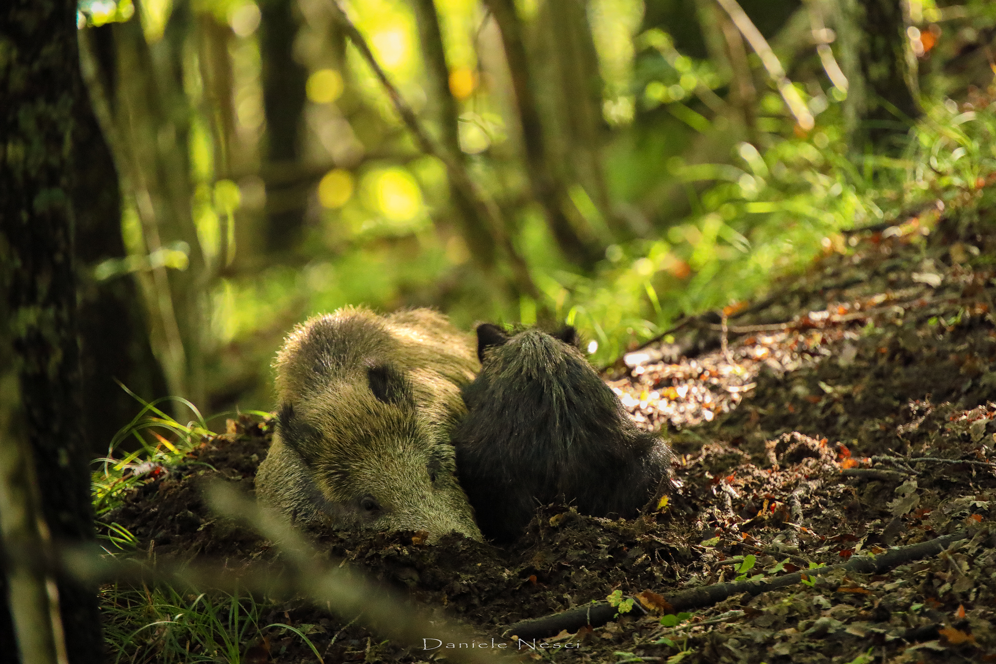 Quando ogni tanto ci si prende una pausa