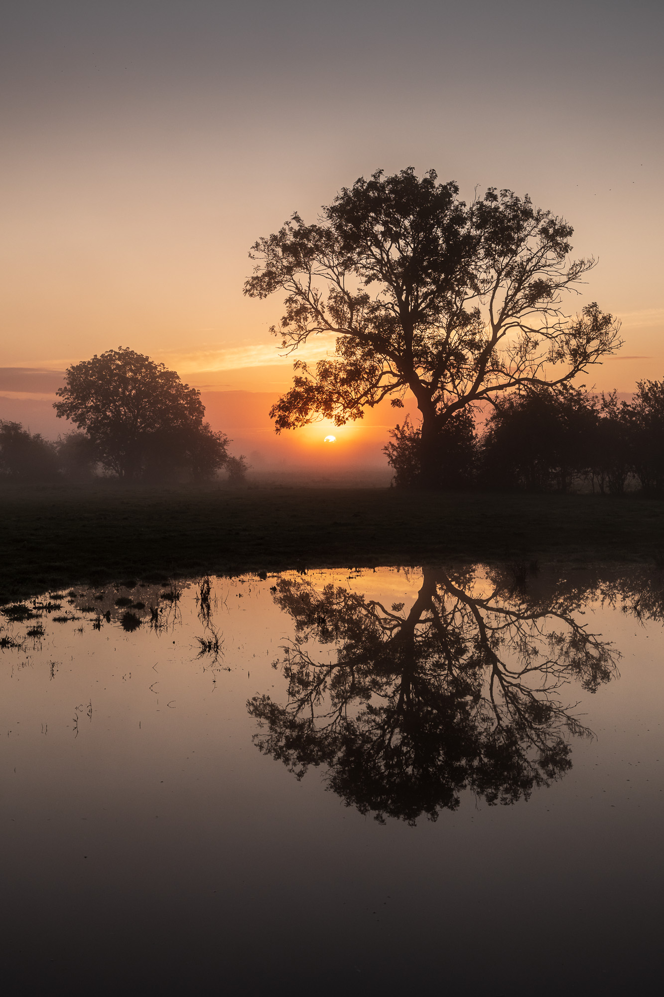 Sunrise Reflections