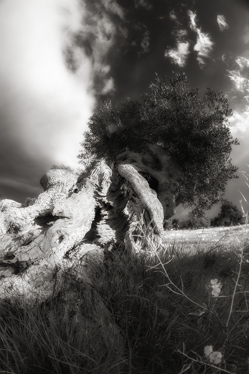 walking in the fields