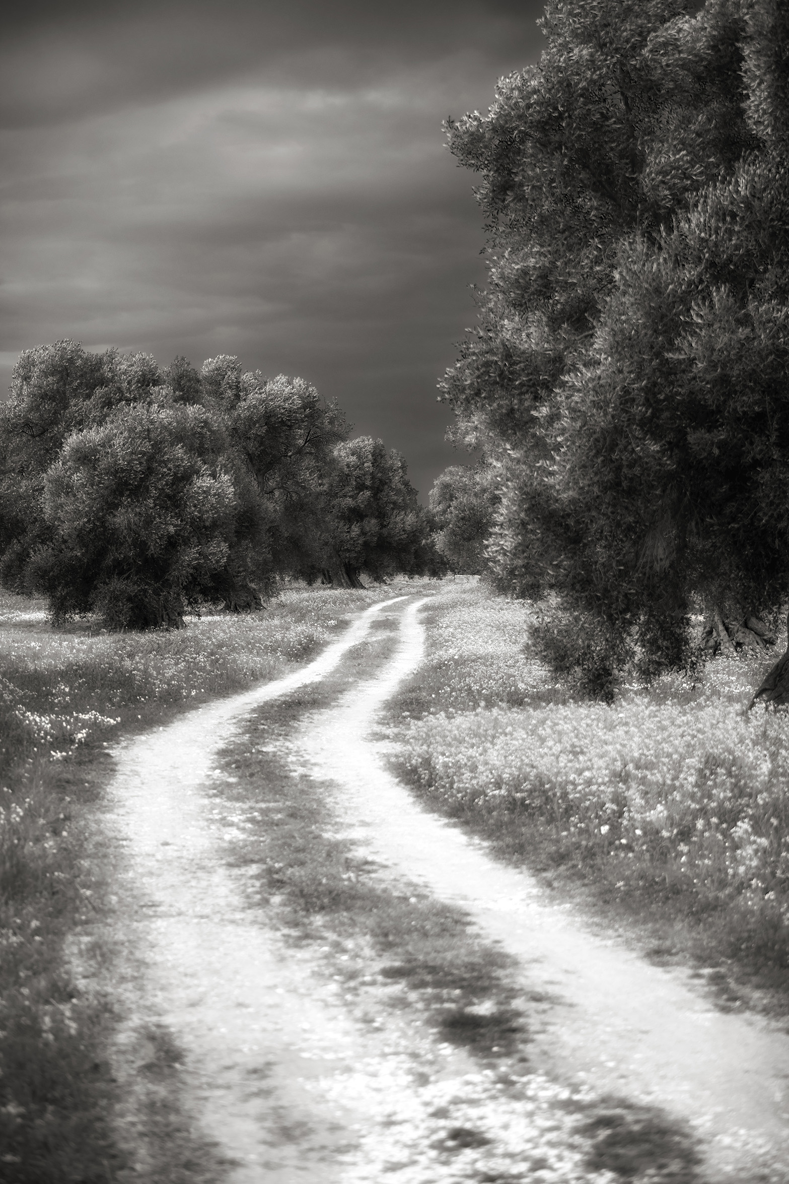 walking in the fields