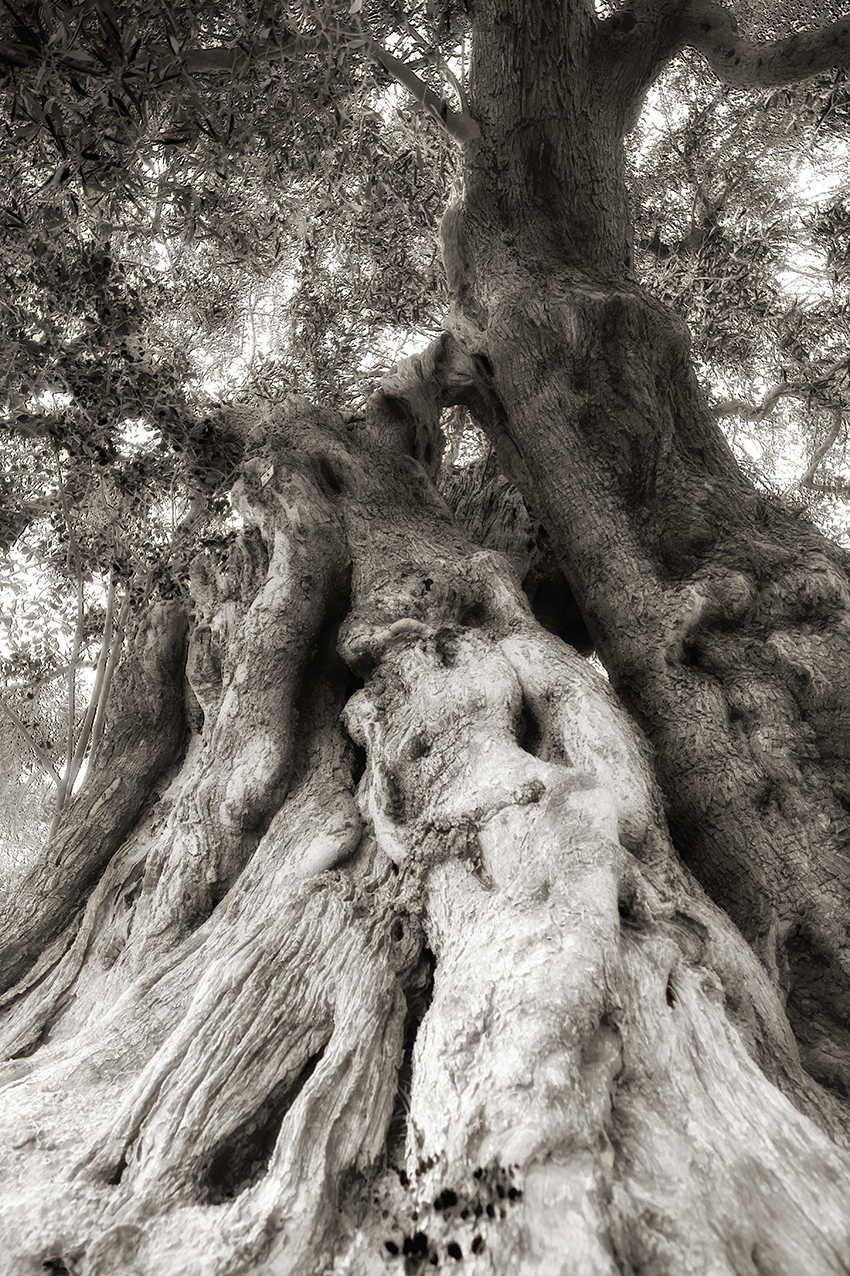 walking in the fields