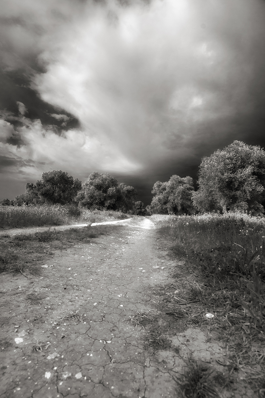 a spasso nei campi