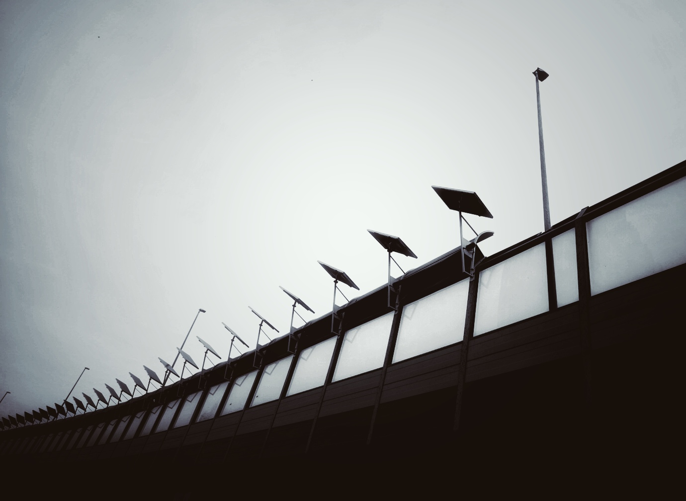 Untitled Photo