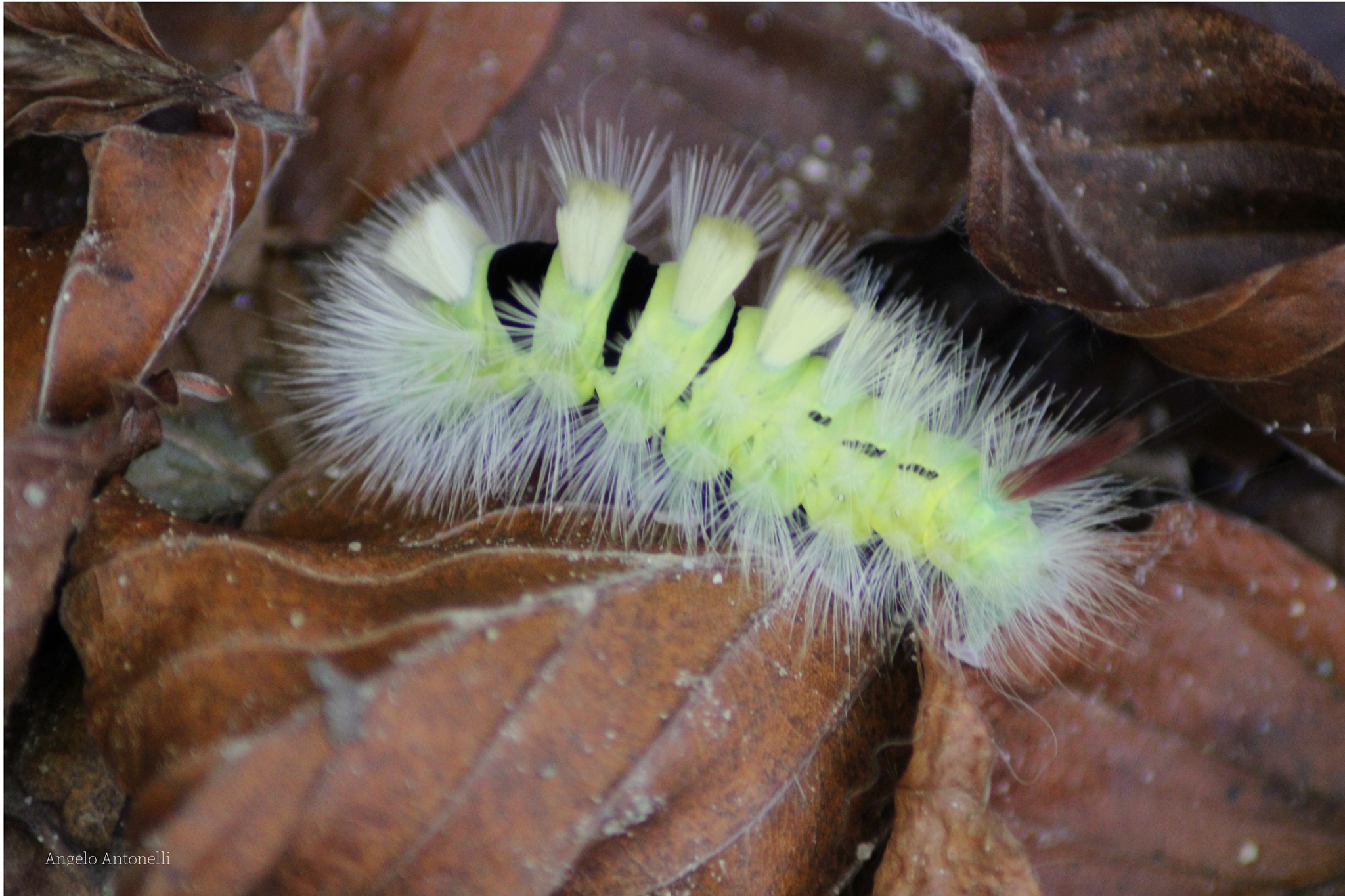 Appennino Tosco-Emiliano