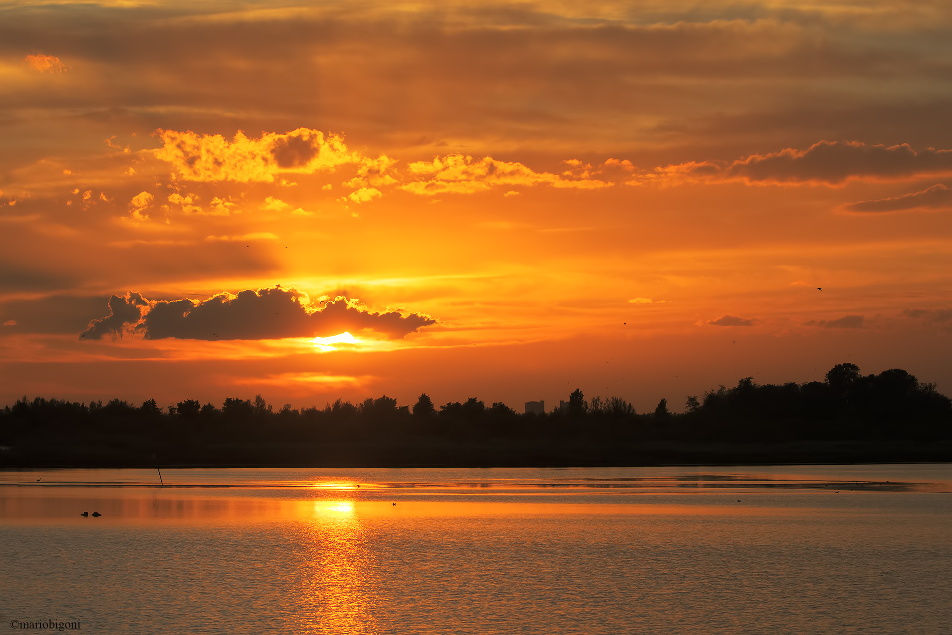 sunset over the Delta of the Po
