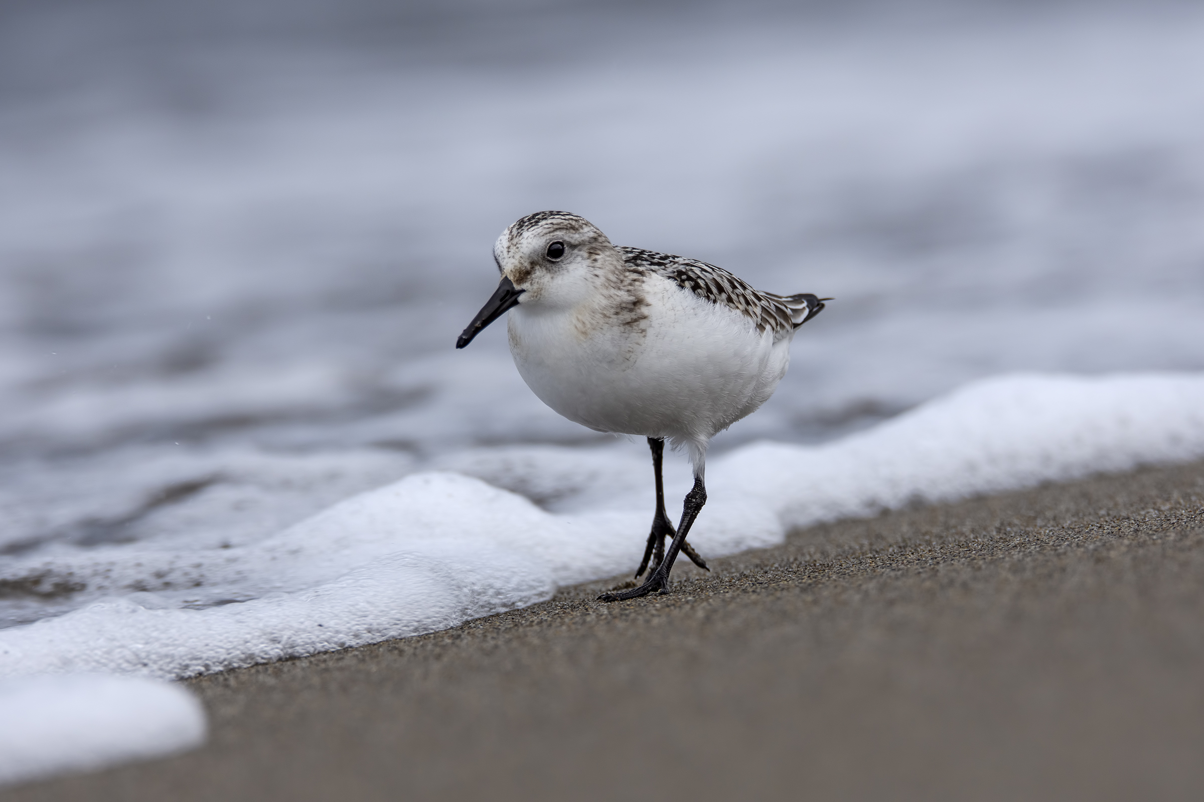 On the shore