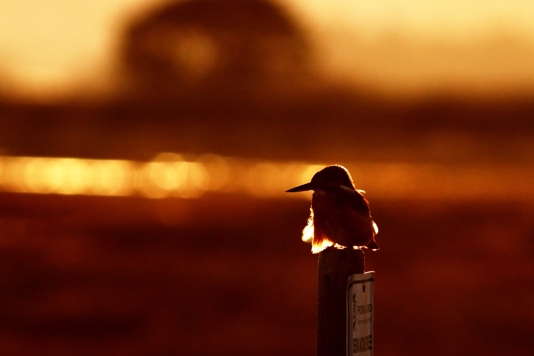 il tramonto e la martina