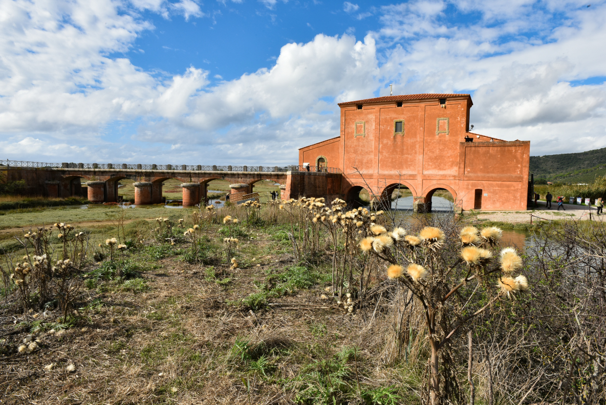 Casa Rossa Castiglione della Pescaia