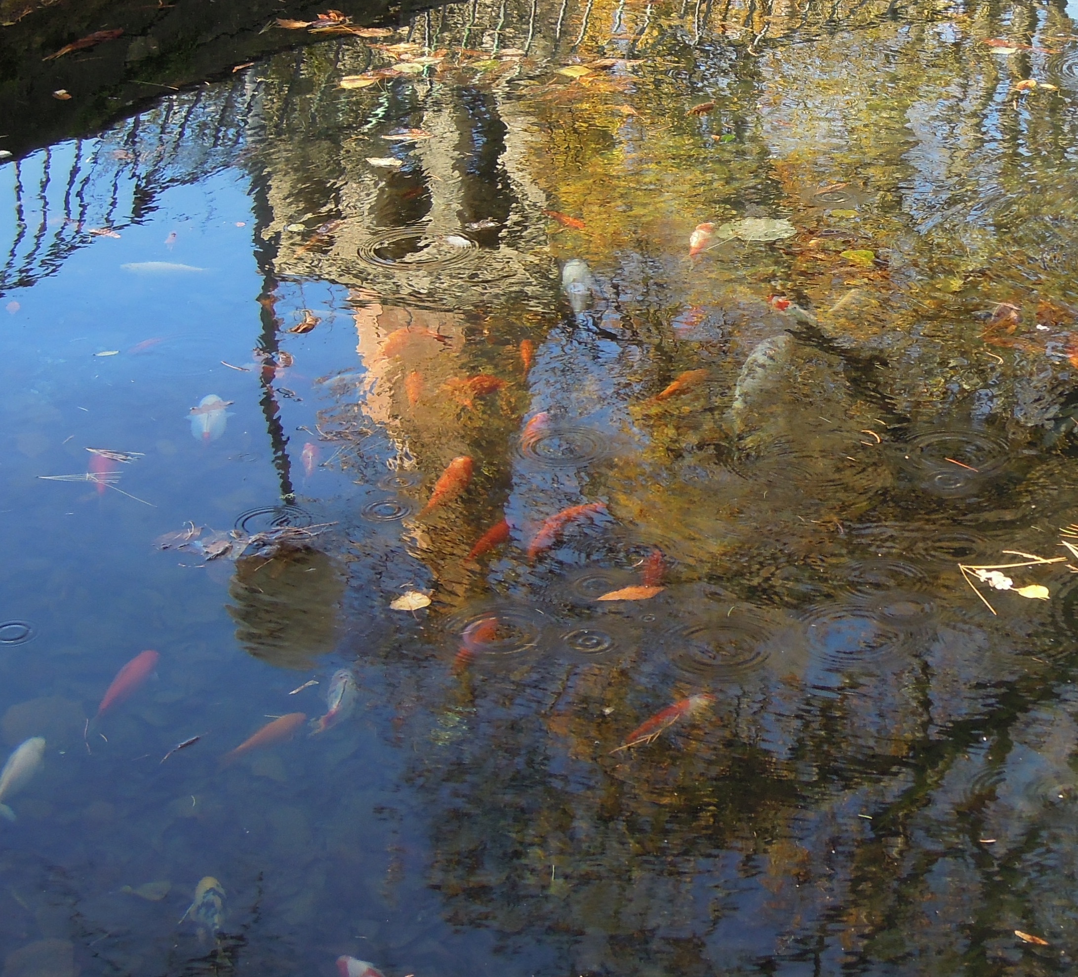 The bell tower is mirrored.
