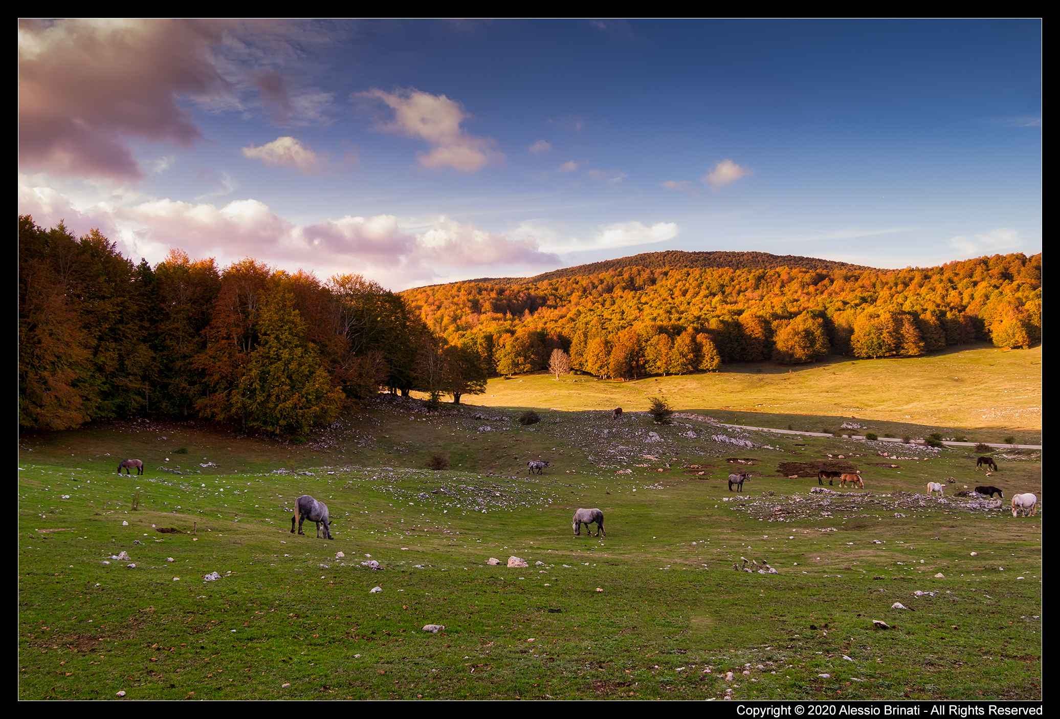 è arrivato l'autunno