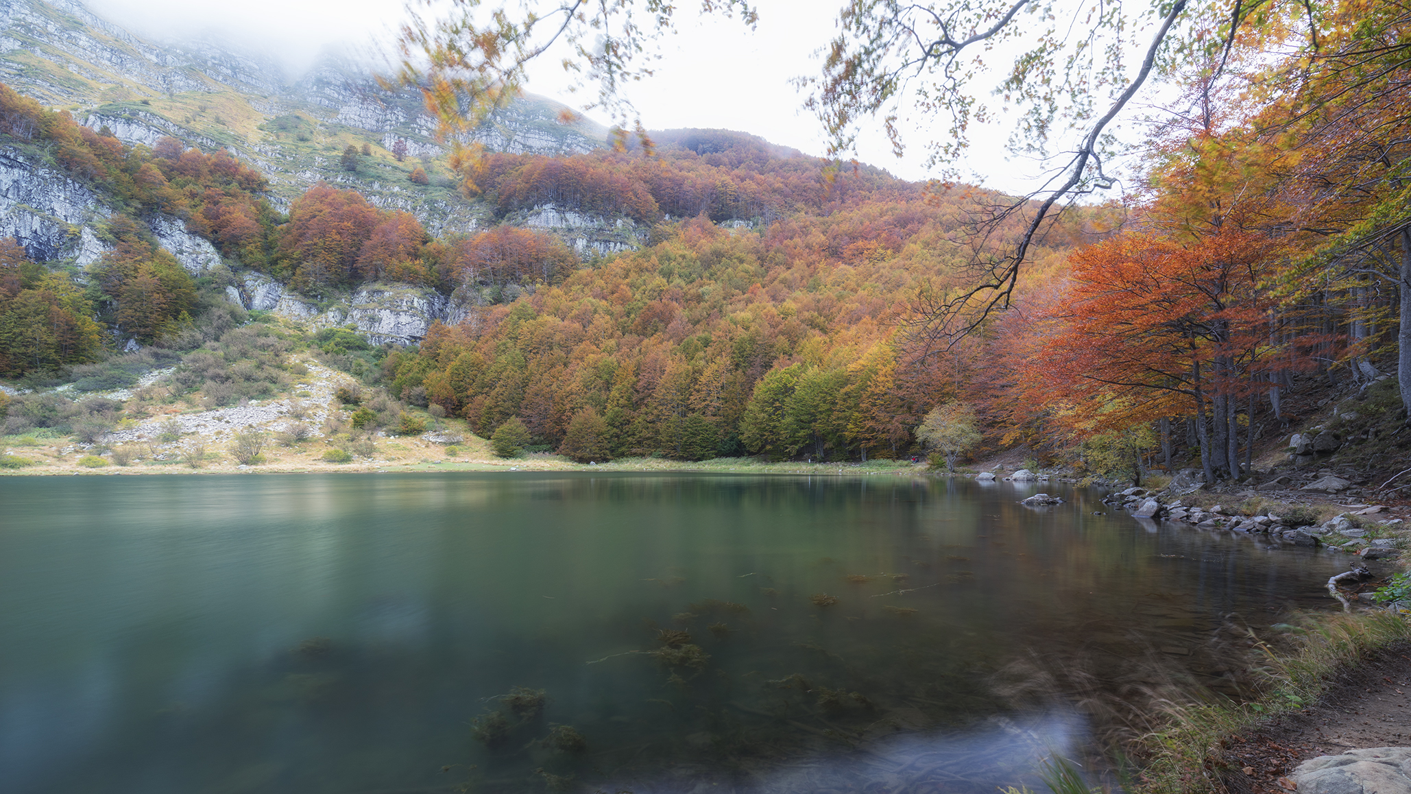 Foliage in Holy Lake (MO)