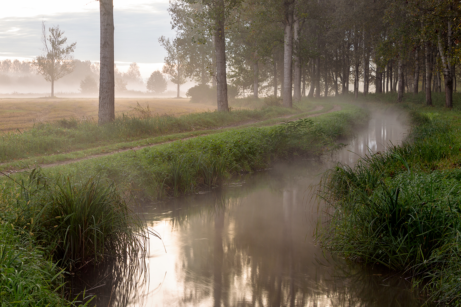 Autunno in Lomellina