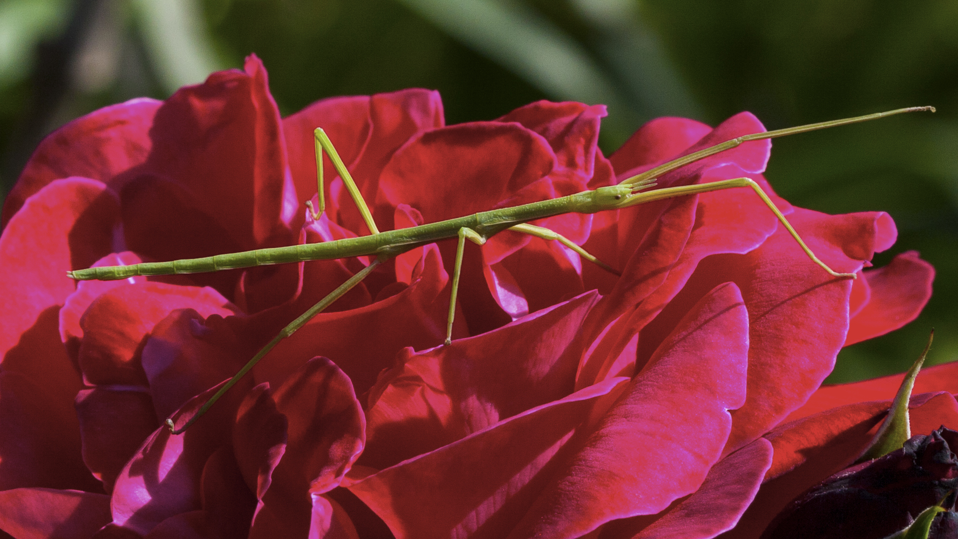 Ehi!!!!! E tu chi sei?