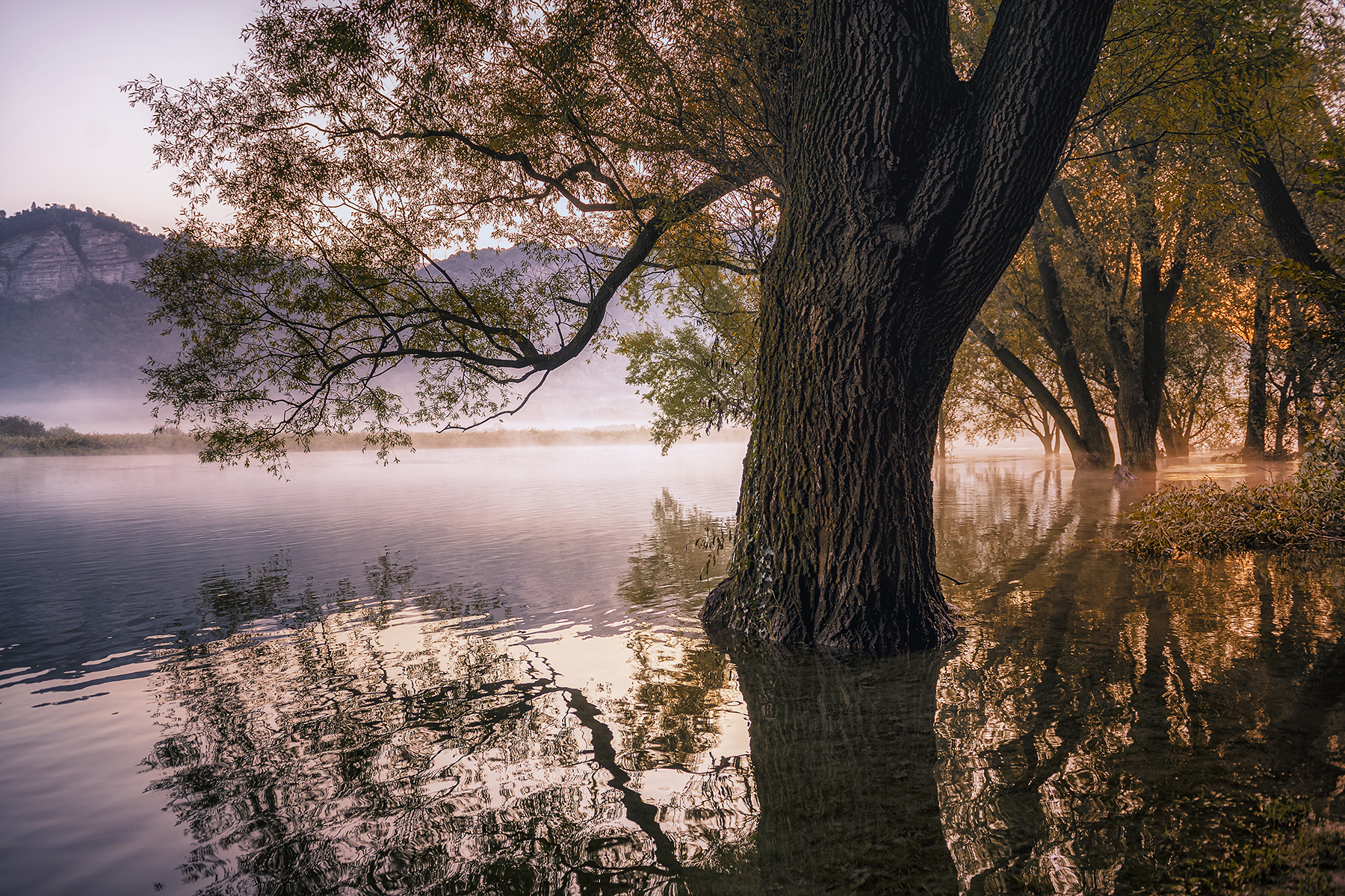 Tsunami sul fiume Adda