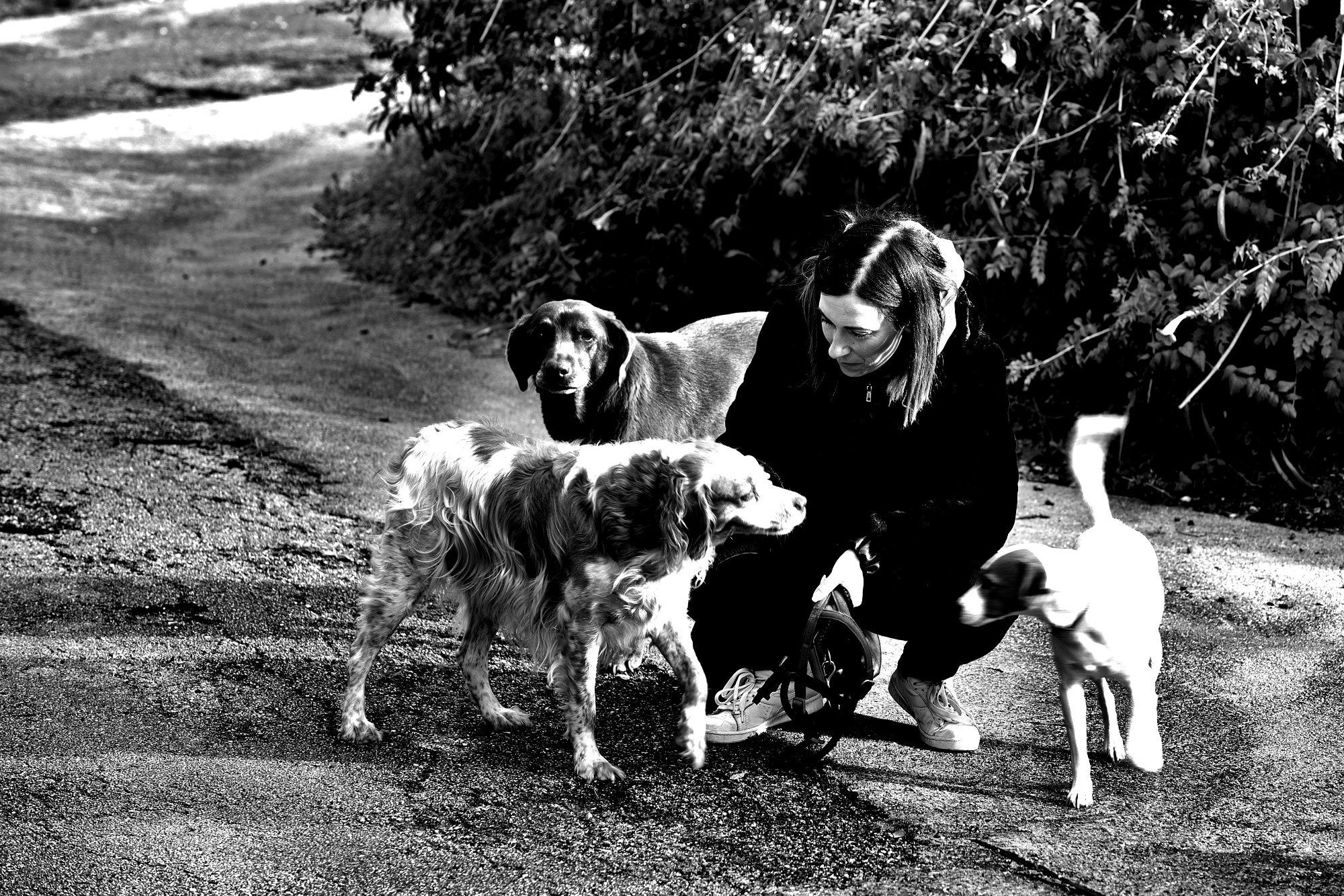 Love and Coexistence