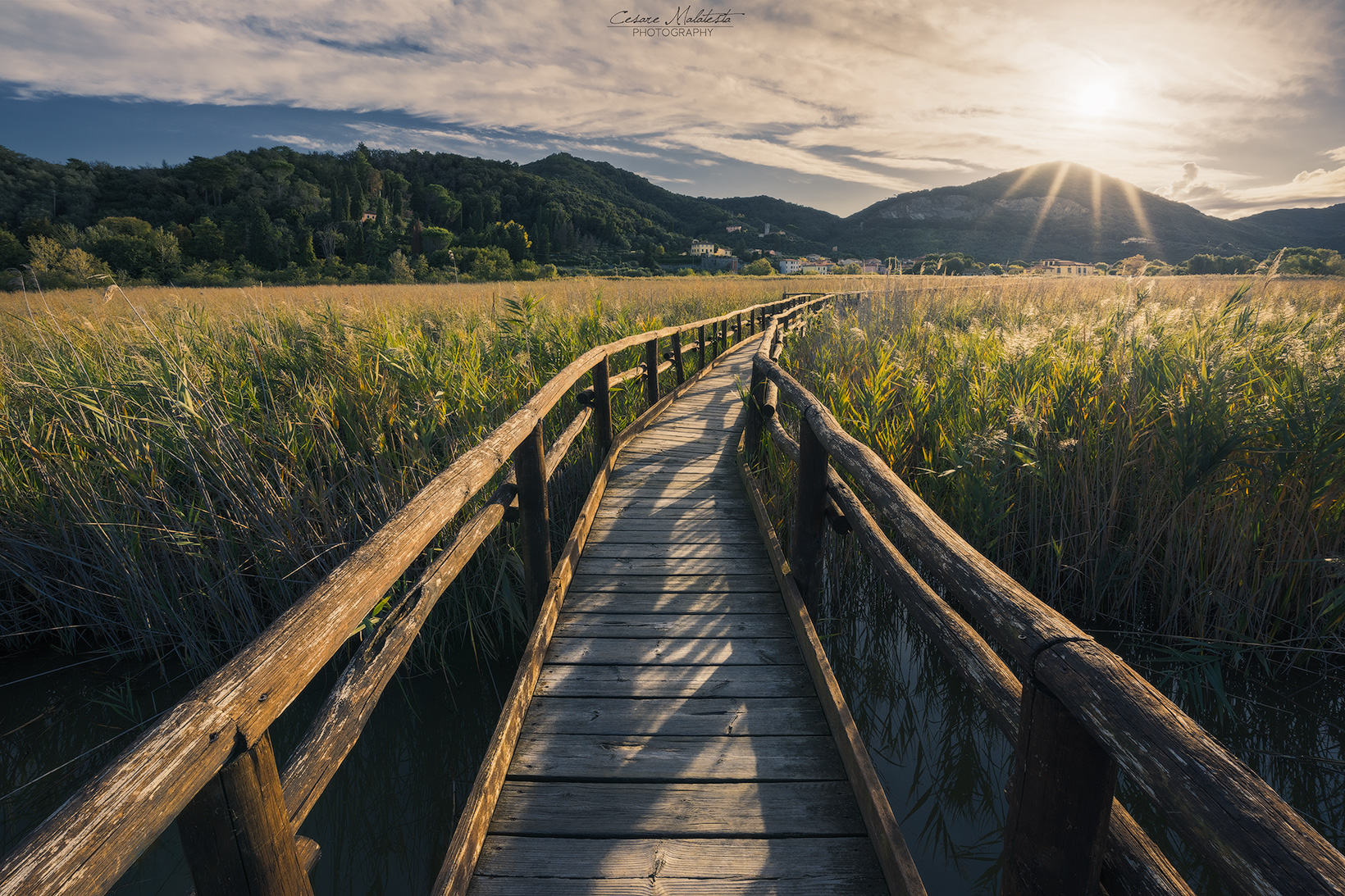 Oasi Lipu Massaciuccoli