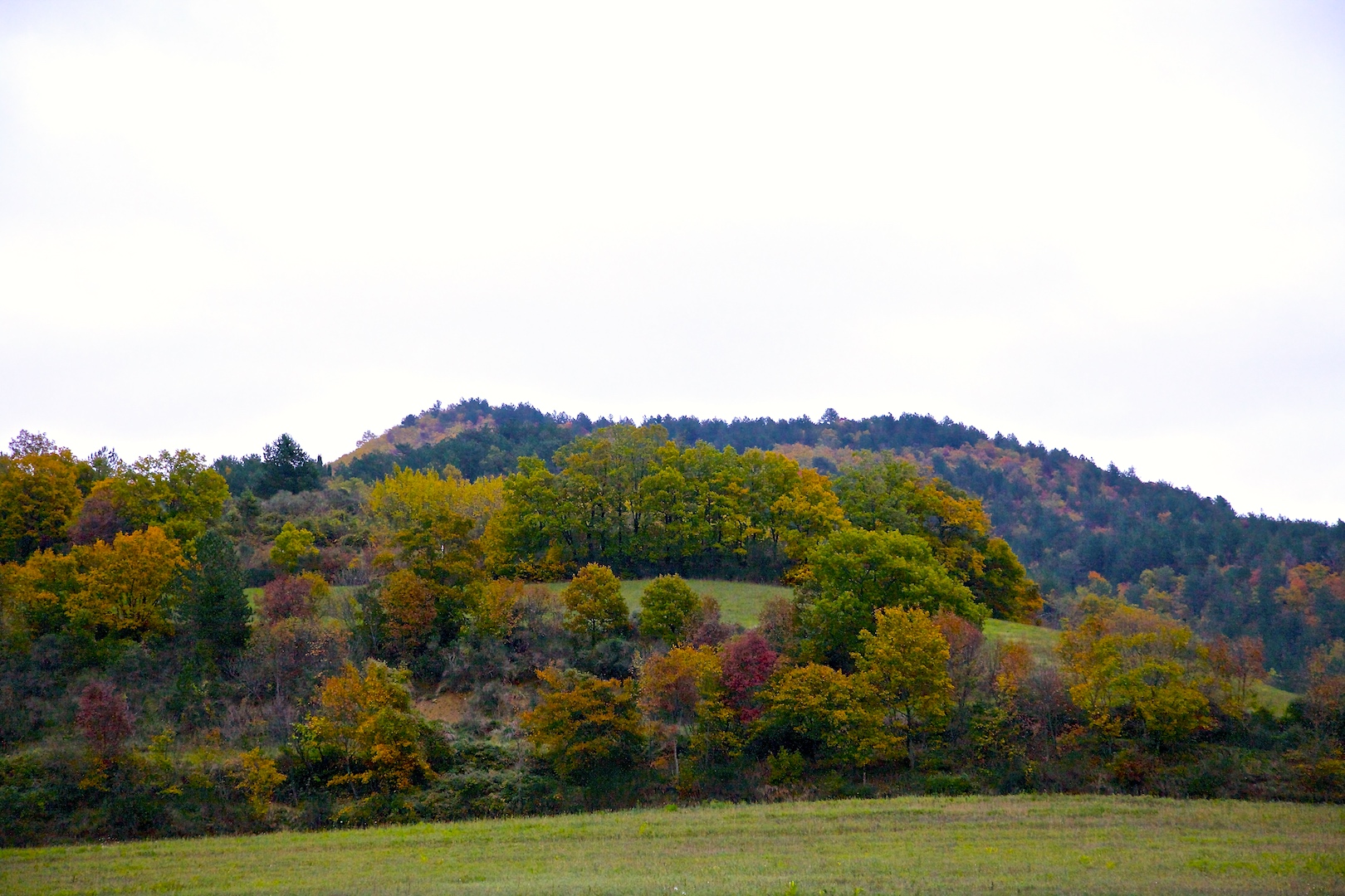 Una tavolozza di colore. Autunno.