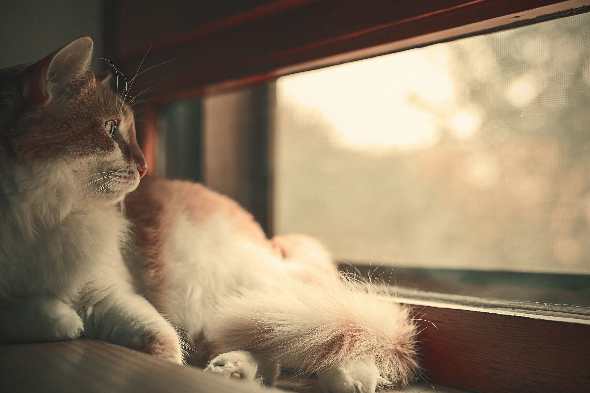 Yes, they turned on the radiators