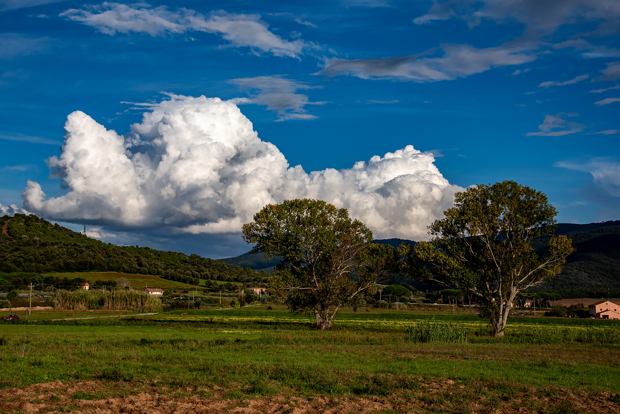 Pian D'Alma- Toscana.