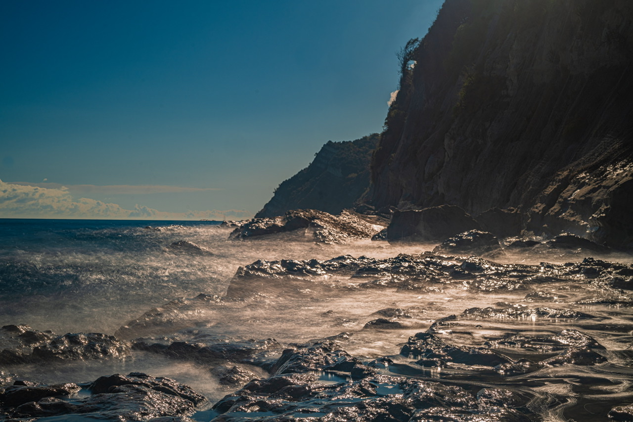 Autumn Shining Light