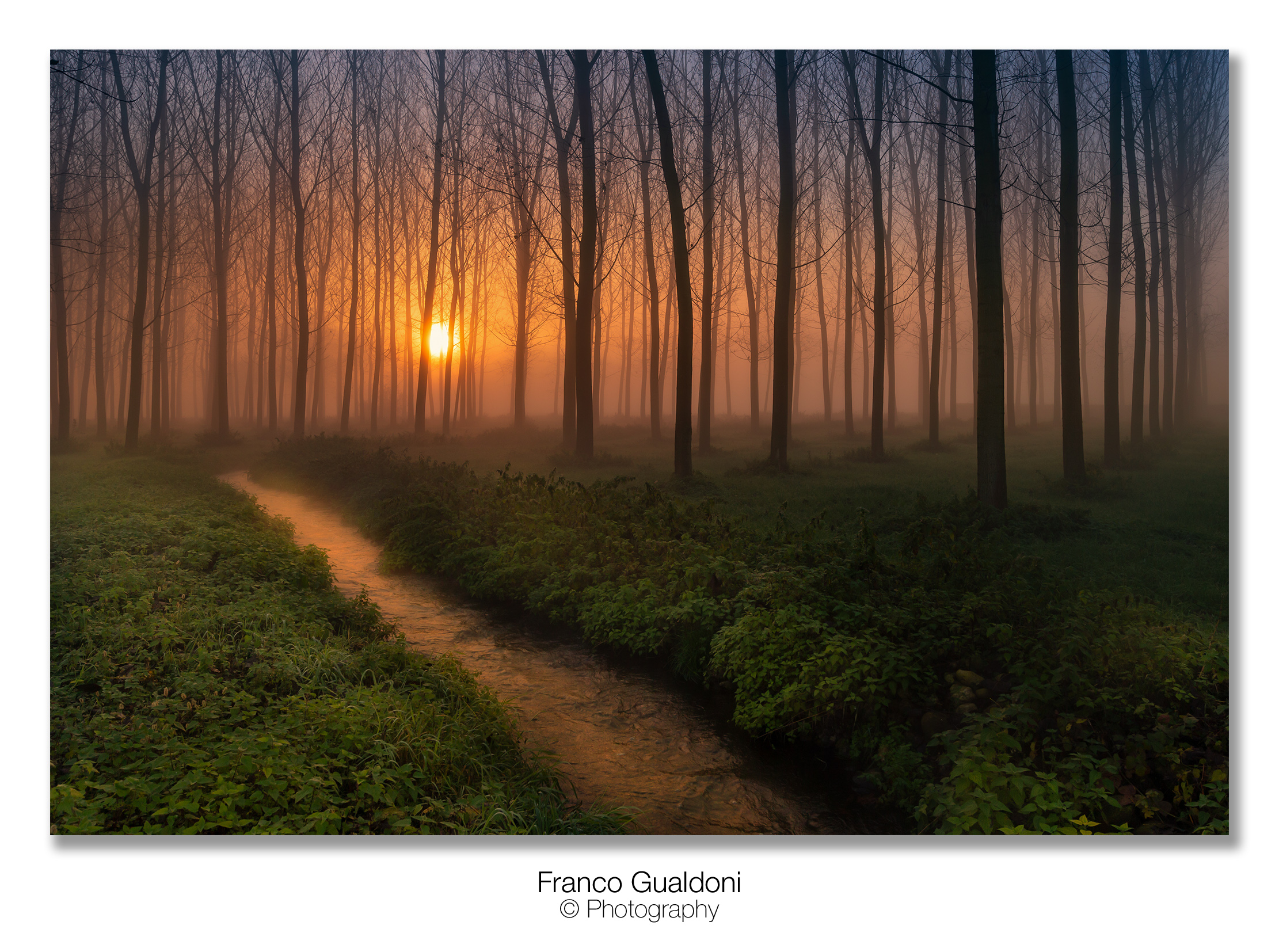 At dawn in the Po Valley...