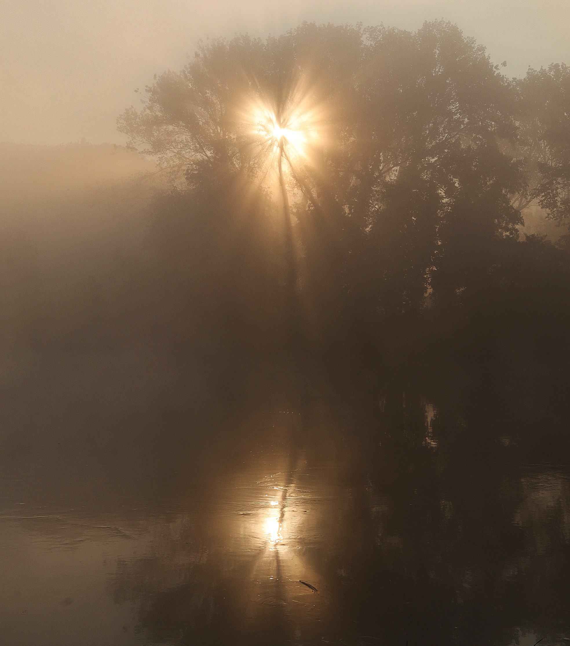 Lotta tra il sole e la nebbia