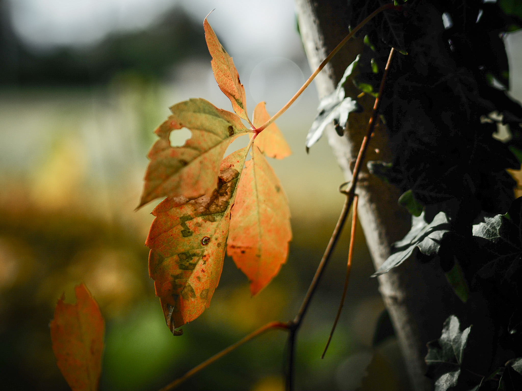 Untitled Photo