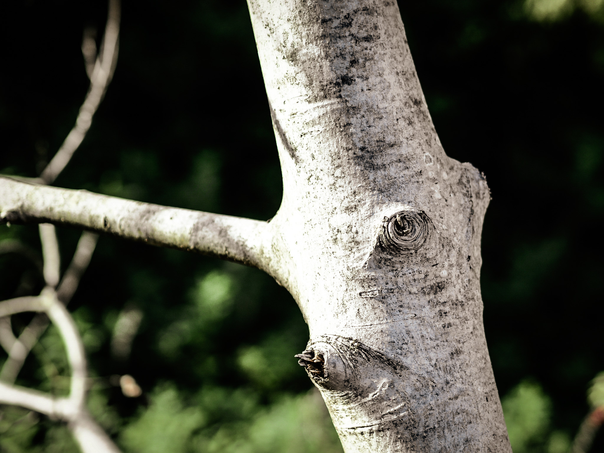 Untitled Photo