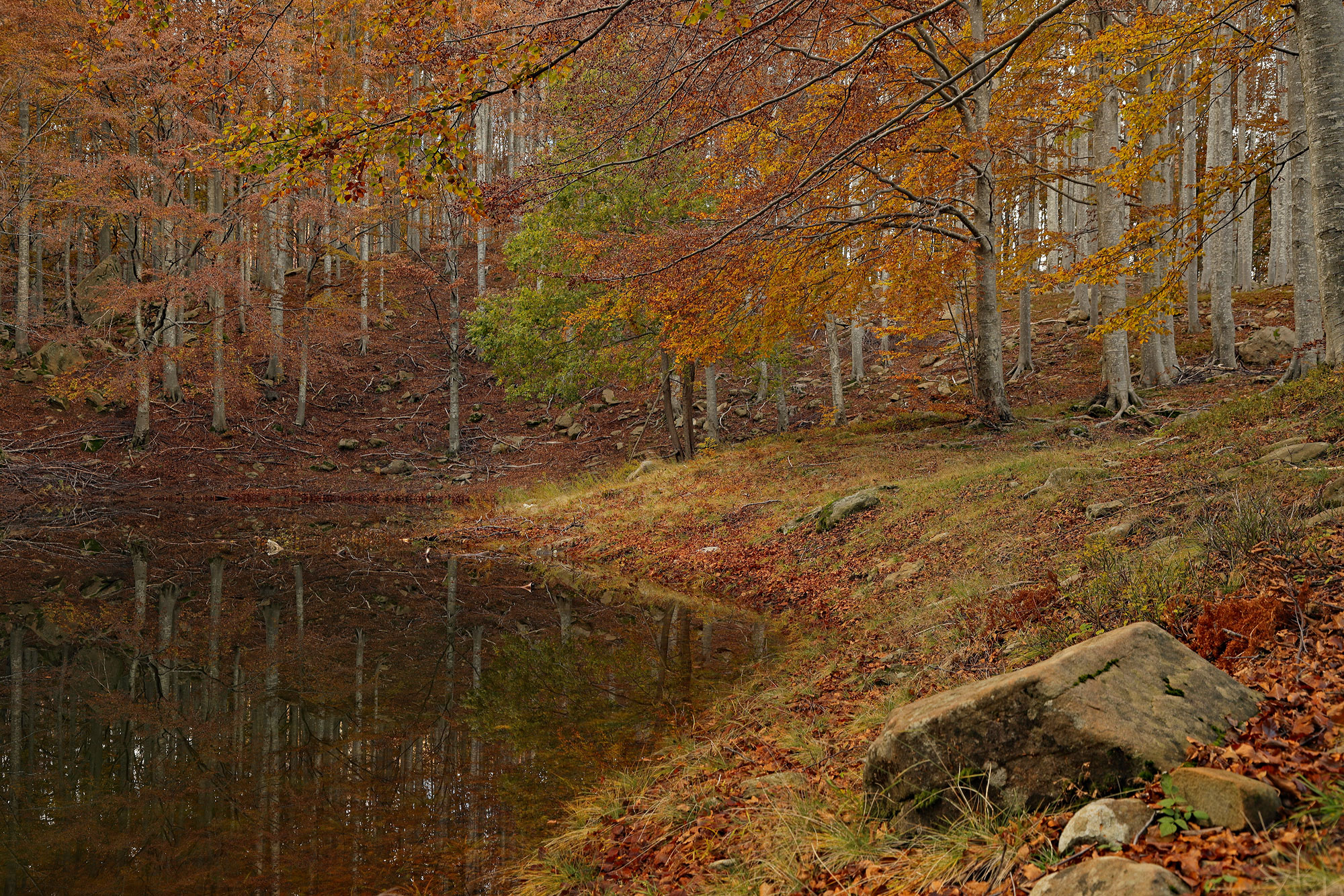 I colori dell'Appennino Parmense