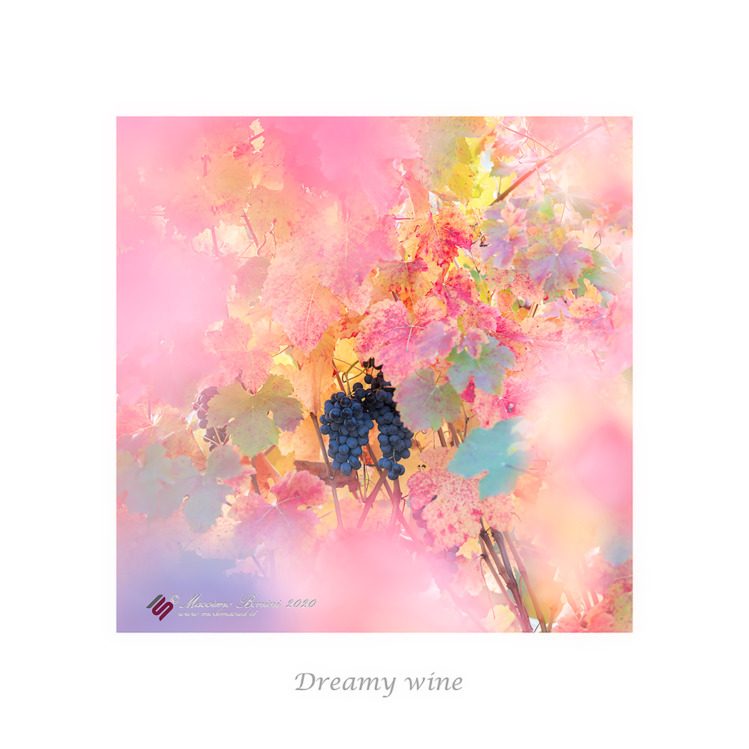 Dreamy wine