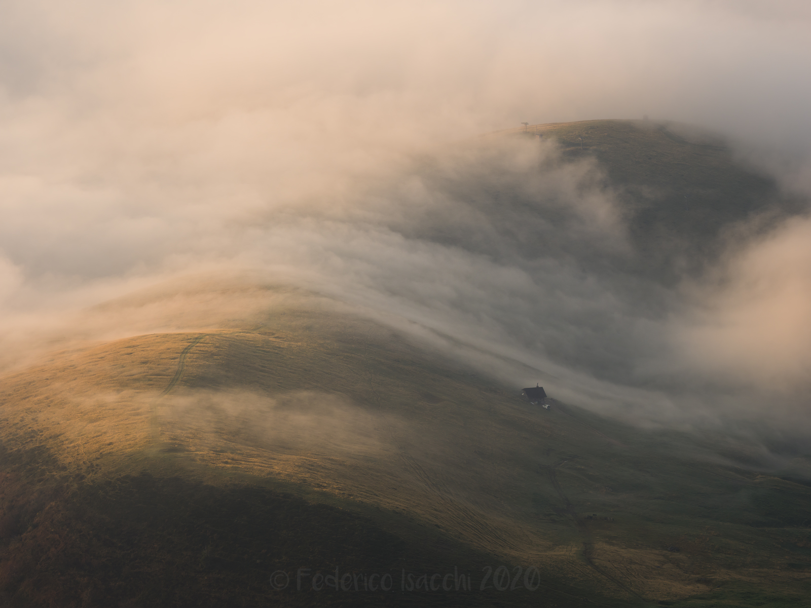 The Cabin and the Fog