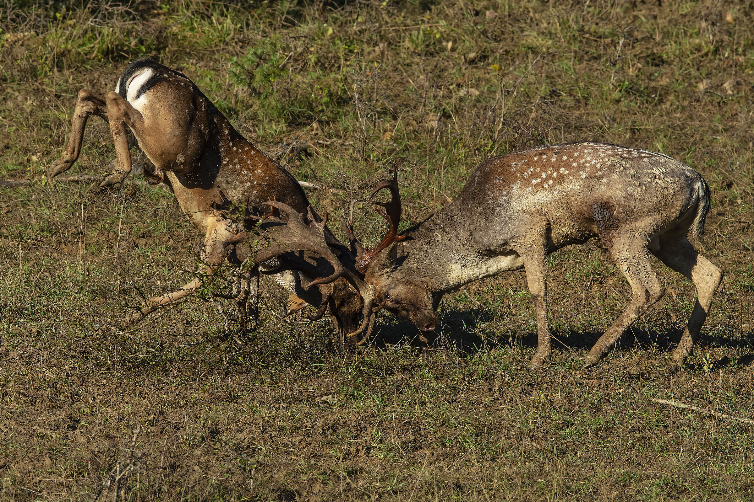 La potenza di uno scontro