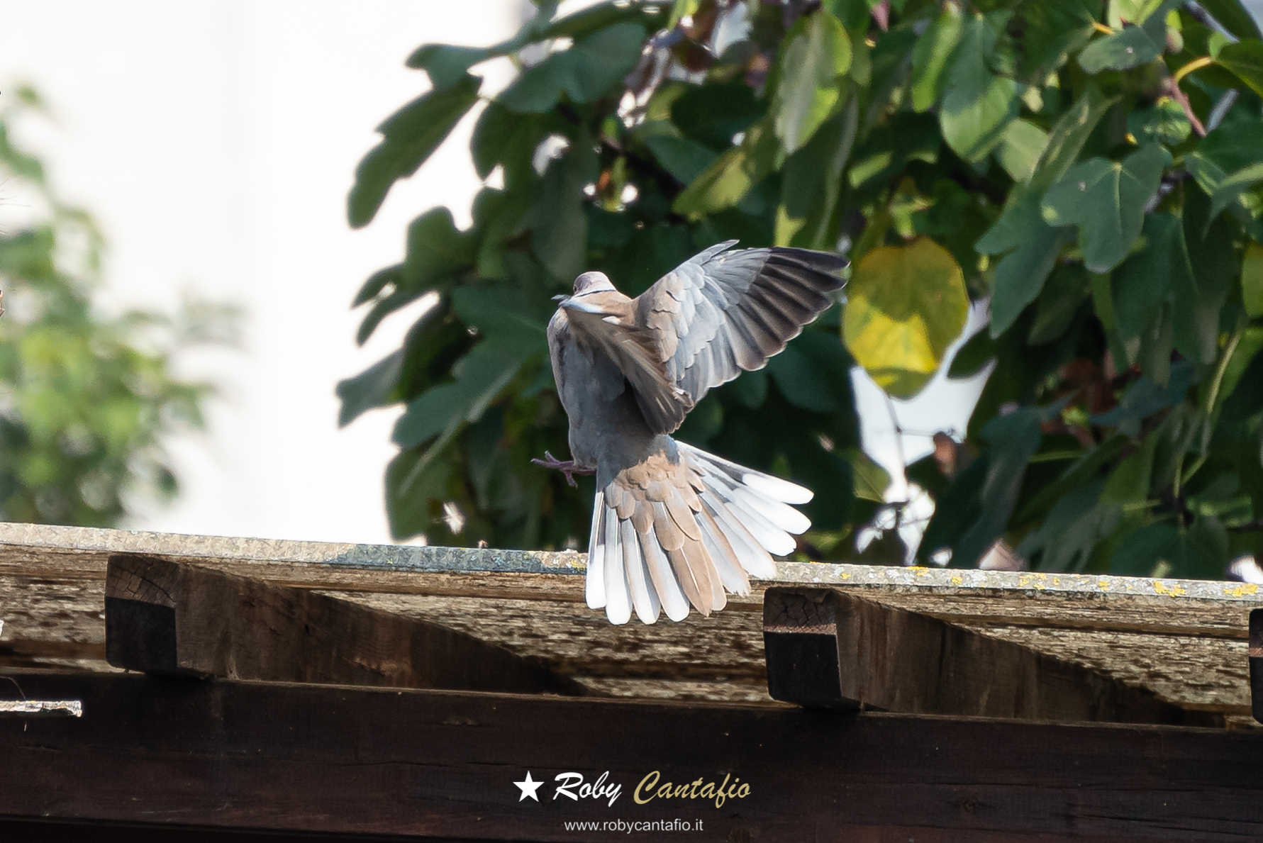 Landing