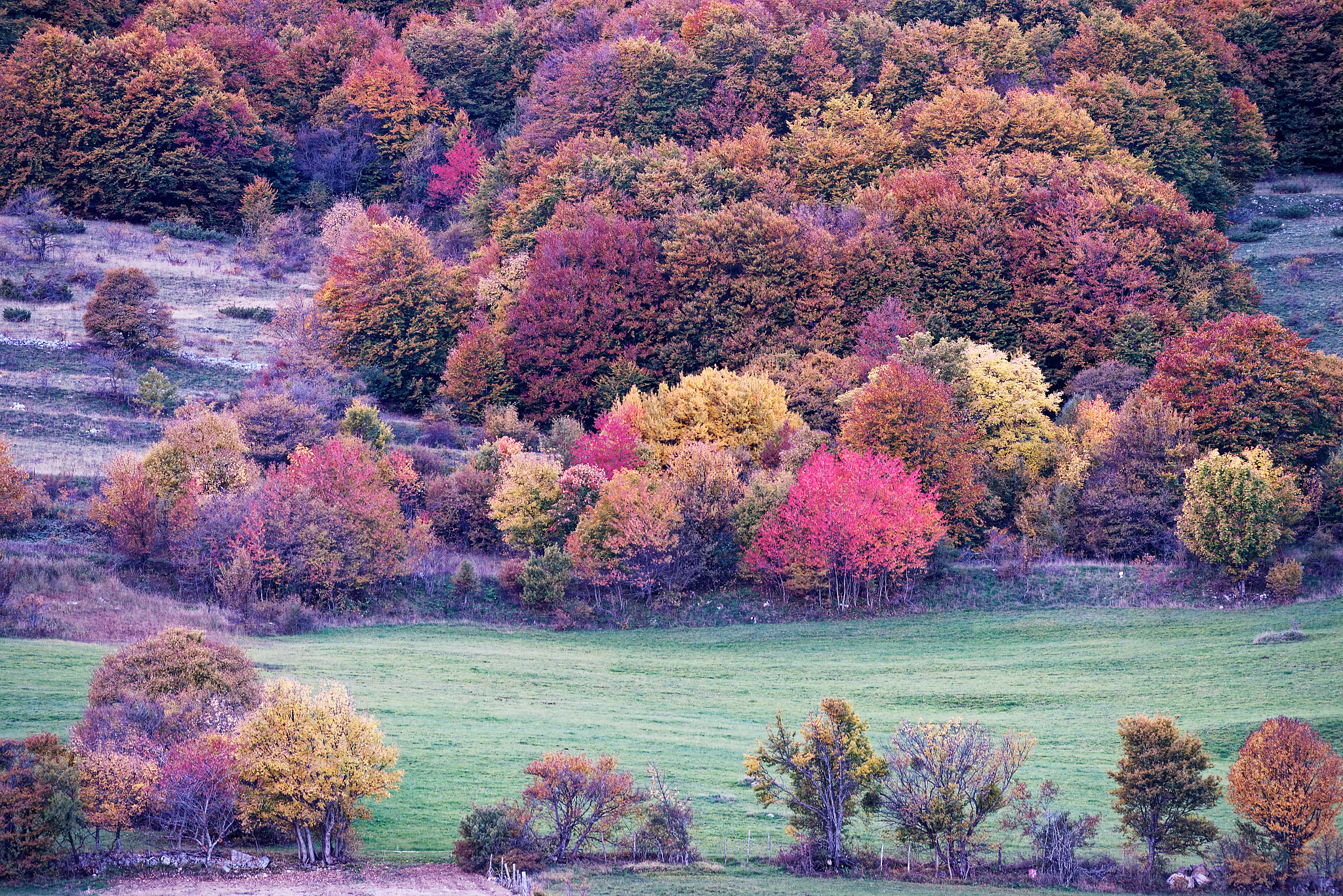 L'autunno è arrivato