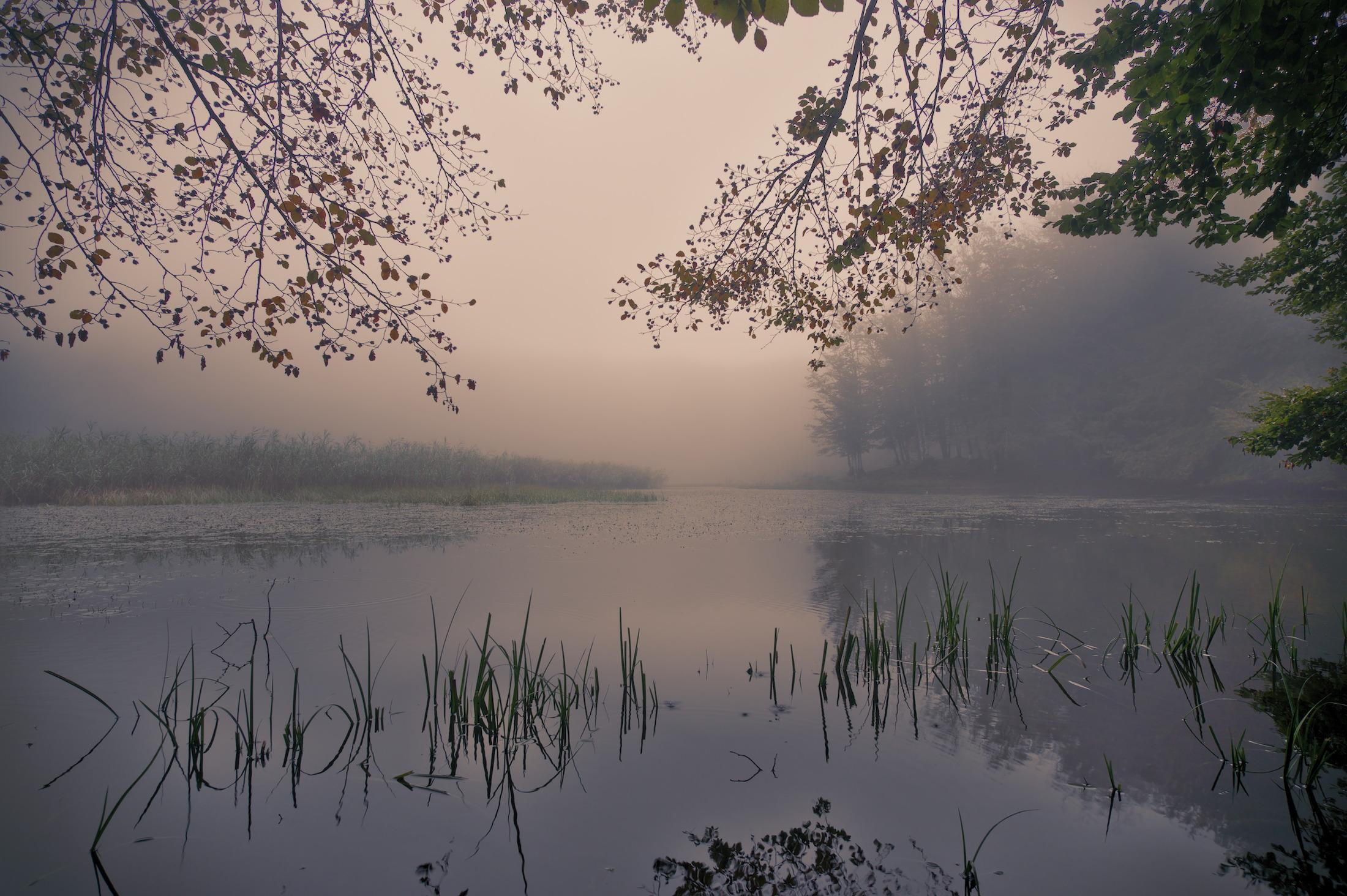 Un'alba nebbiosa sul lago dei "Due Uomini"