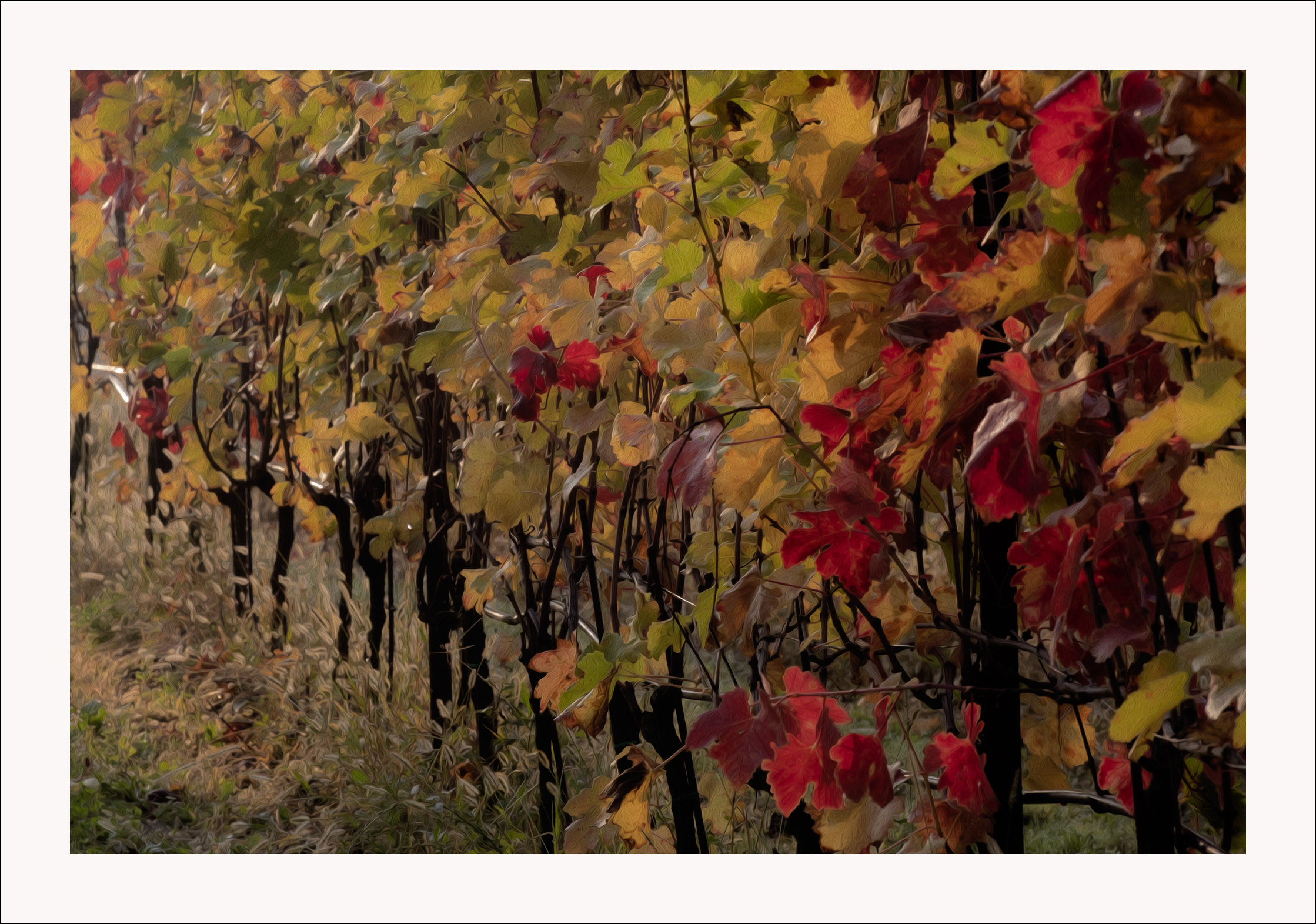 Colori dell'autunno