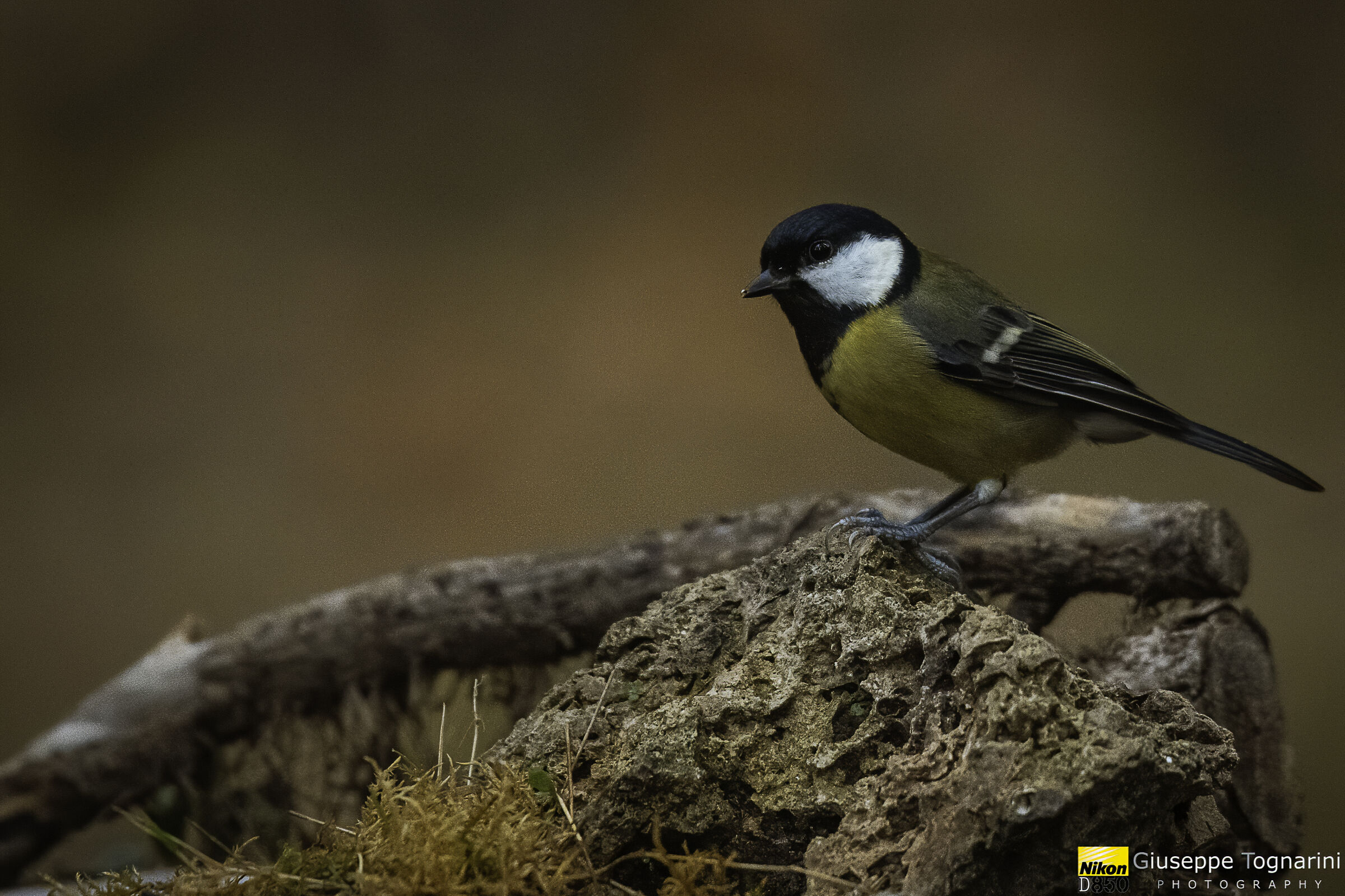 sul cucuzzolo della "montagna"