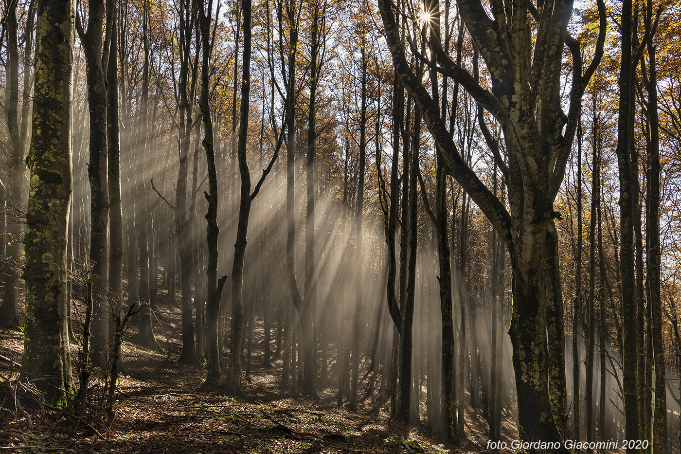 Scorcio Autunnale...