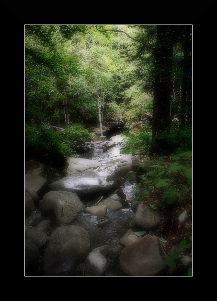 La serenata del fiume