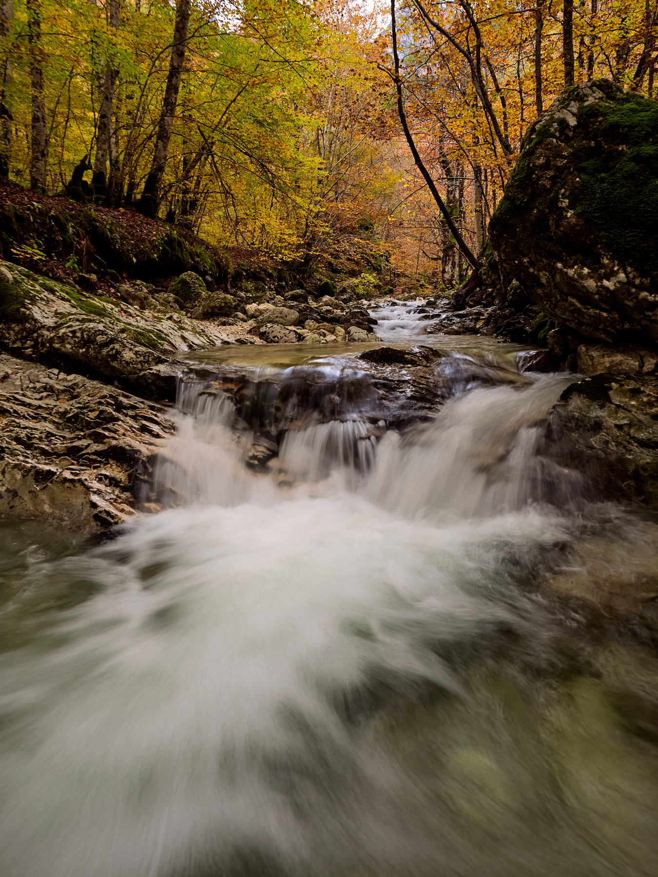Parco Nazionale d'Abruzzo