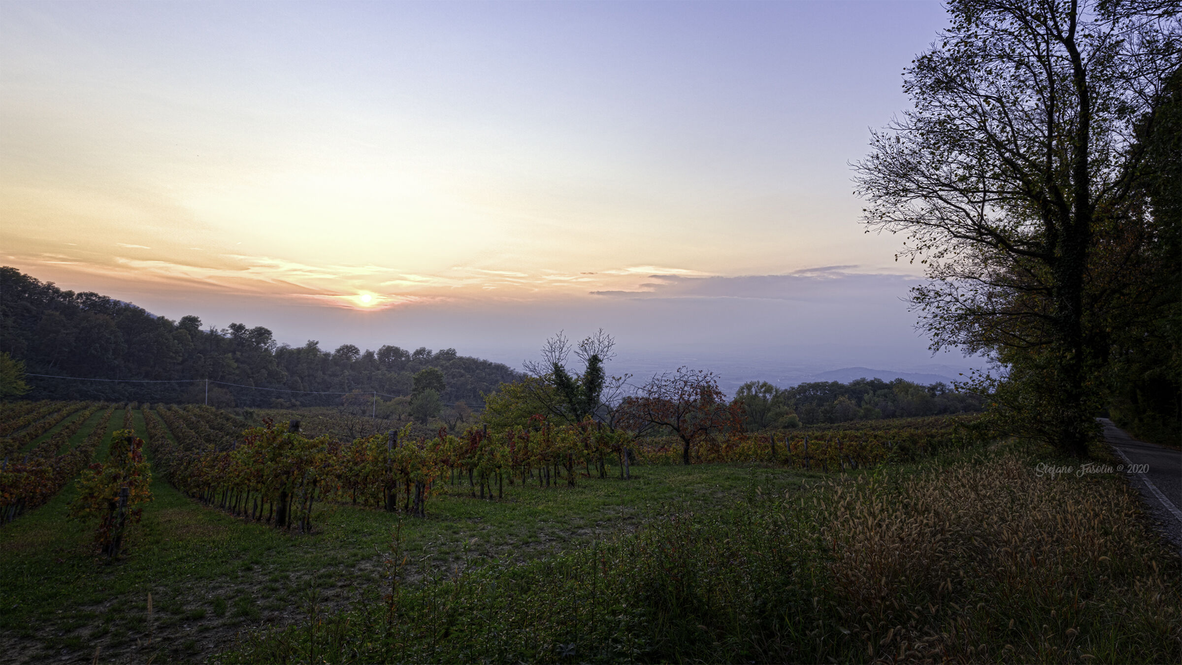 Autunno sul Monte Venda
