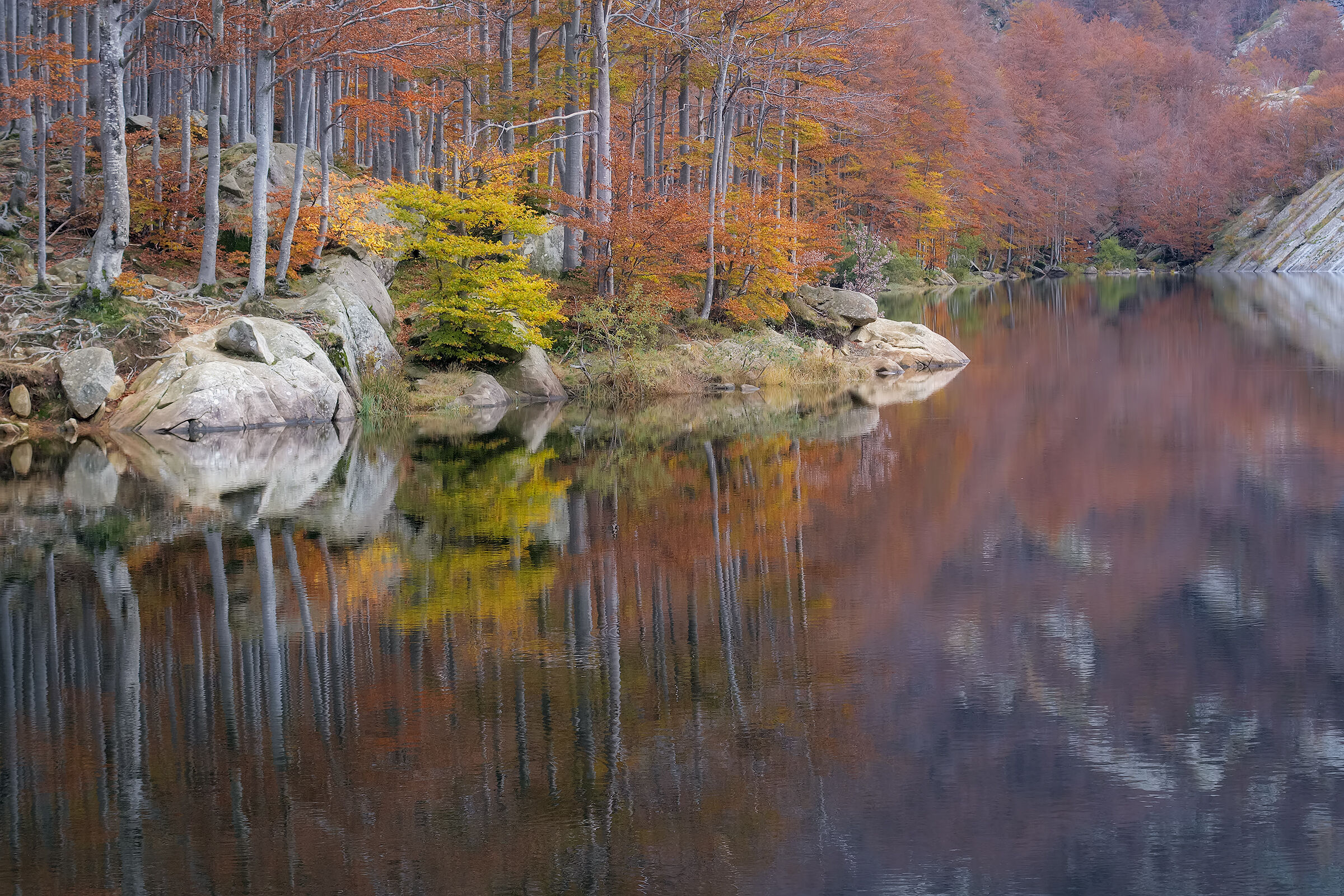 Autunno al lago