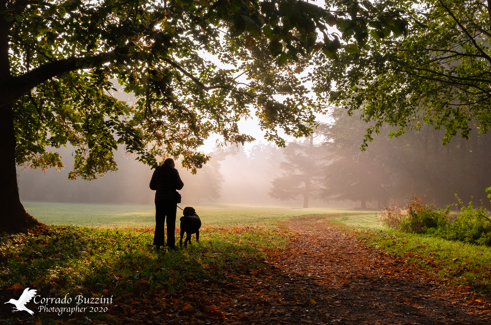Monza Park walking with the dog