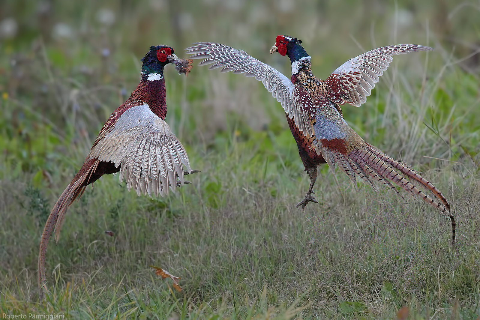 Il gioco si fa duro..