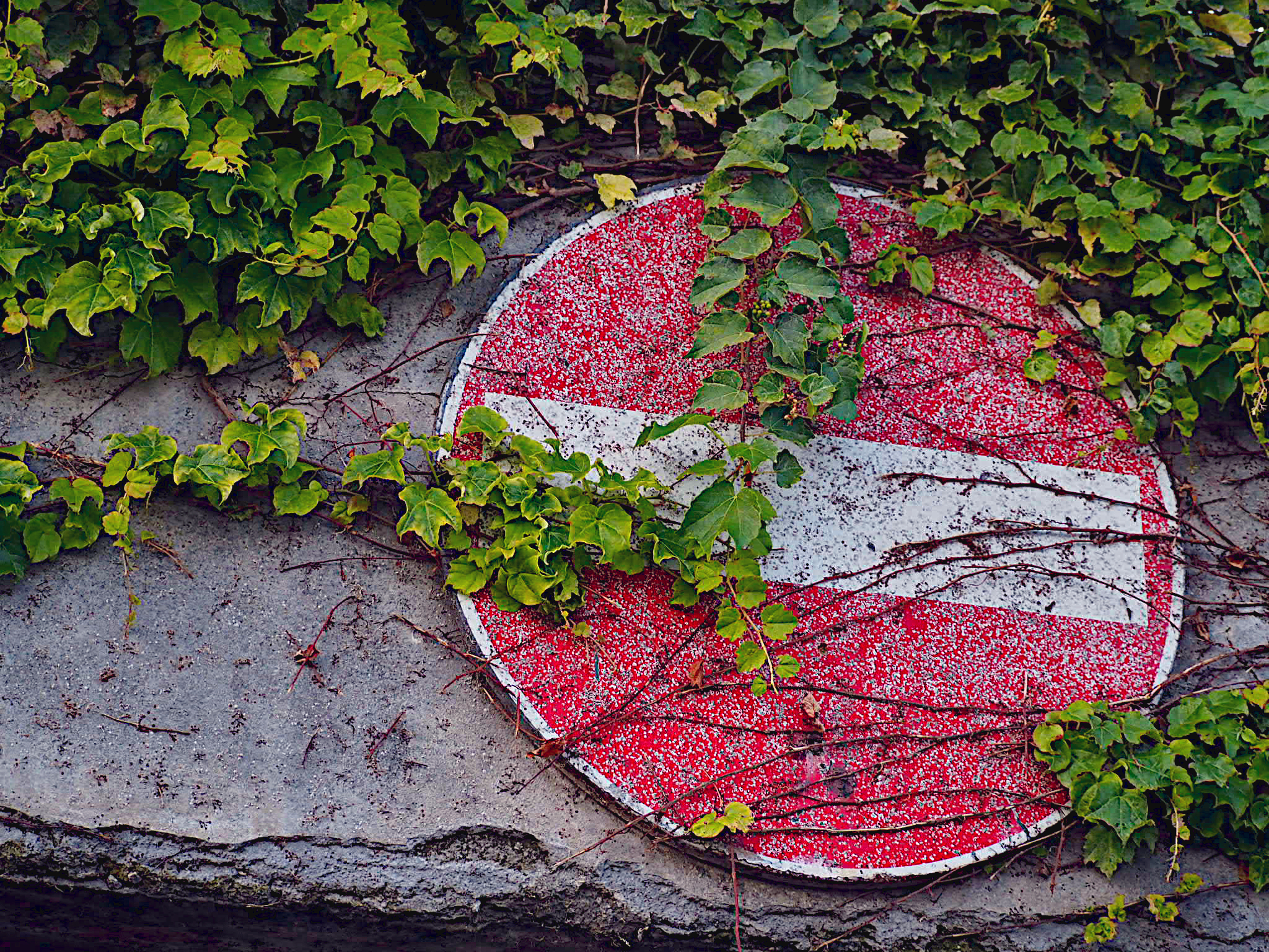 Nature takes back its spaces